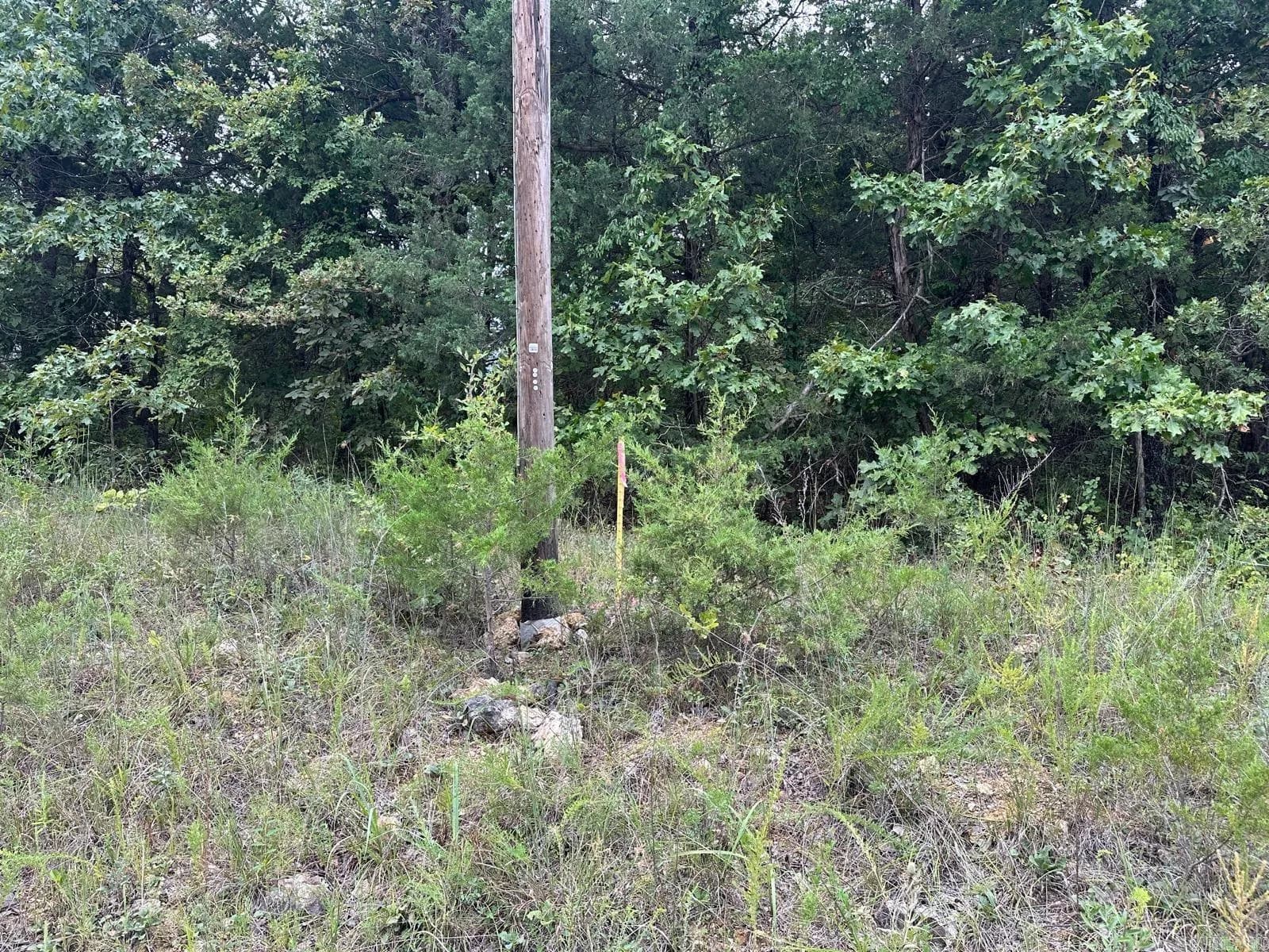 Property at 002-06988-001  County road 137 - Image 11