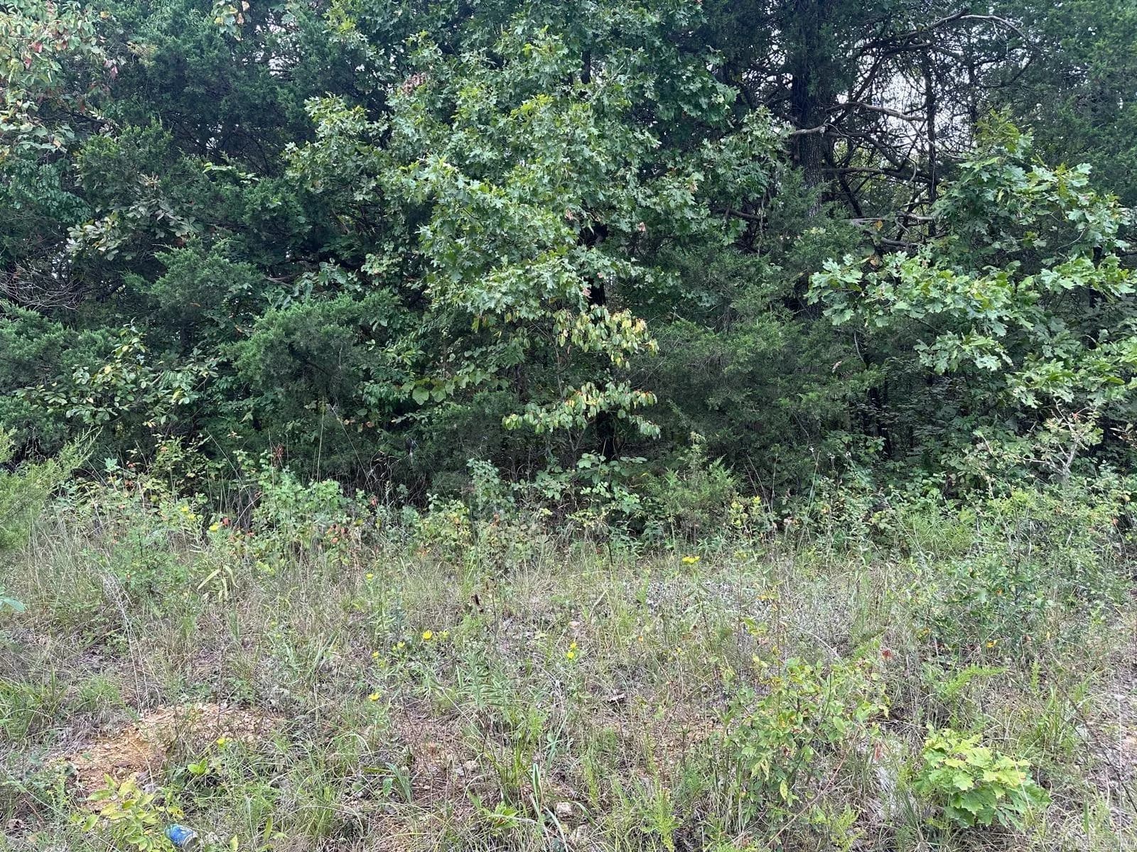 Property at 002-06988-001  County road 137 - Image 3