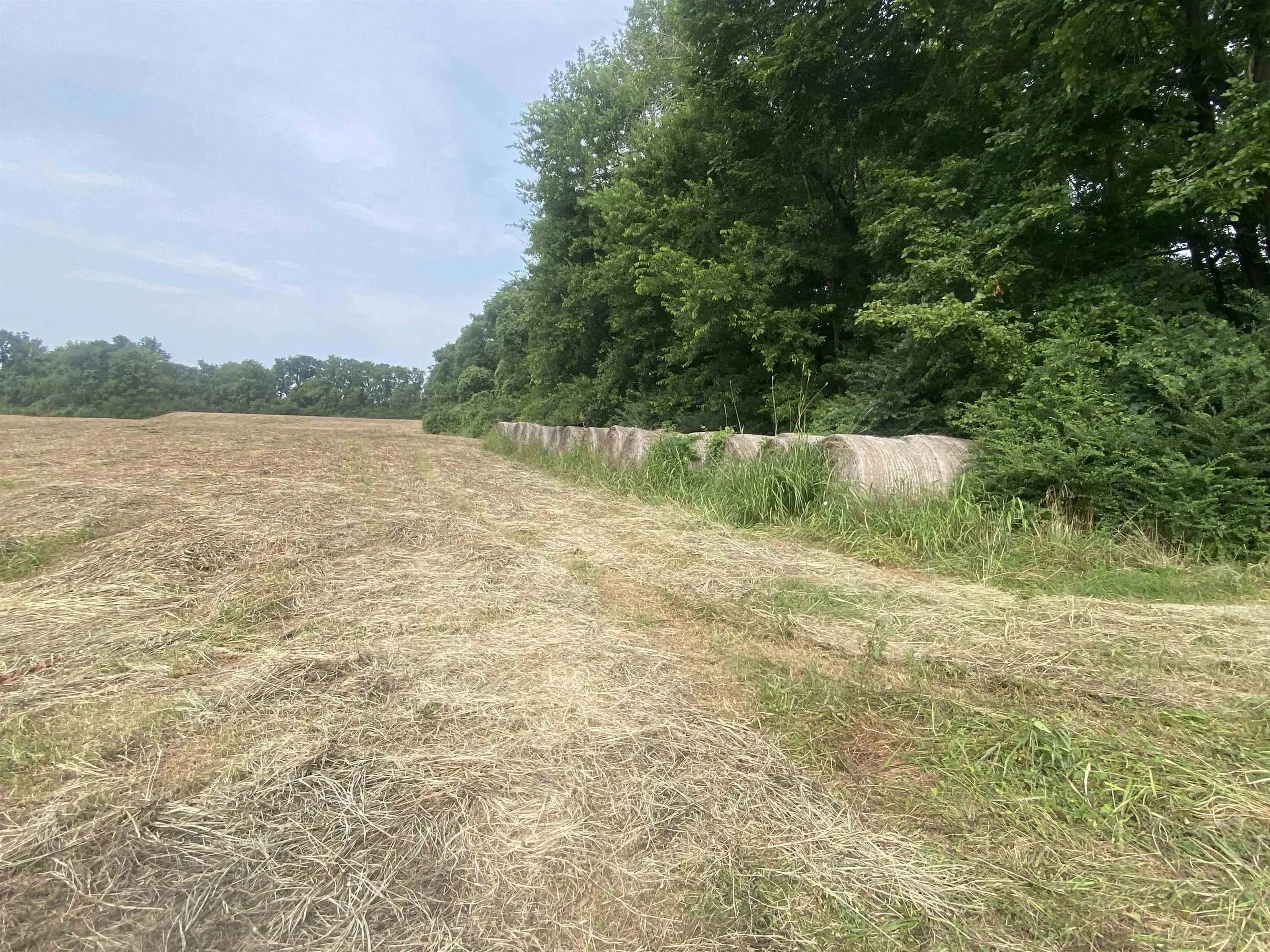 Property at Lot 9 Southfork  Hwy 27 north  Southfork - Image 13