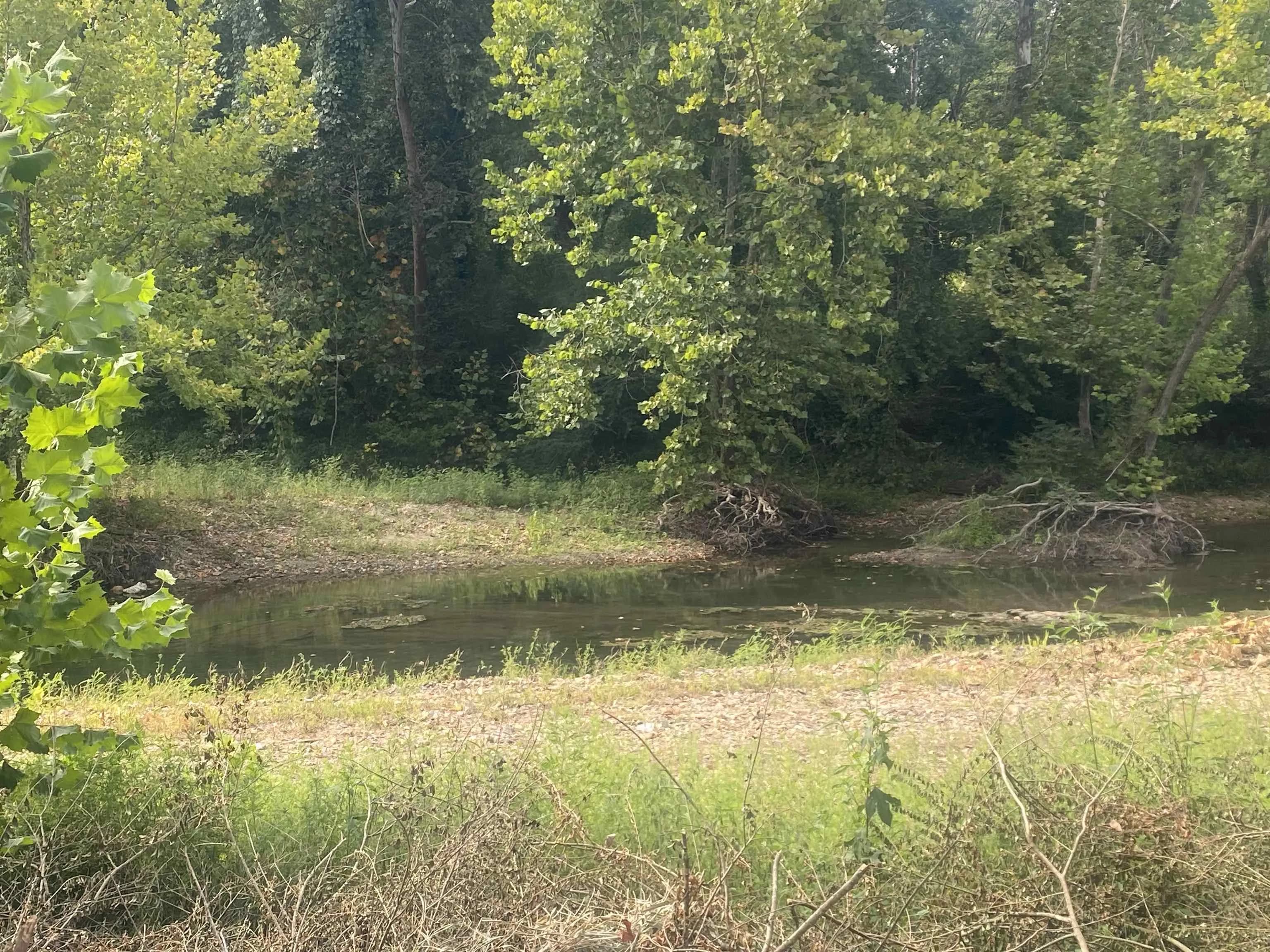 Property at Lot 9 Southfork  Hwy 27 north  Southfork - Image 6
