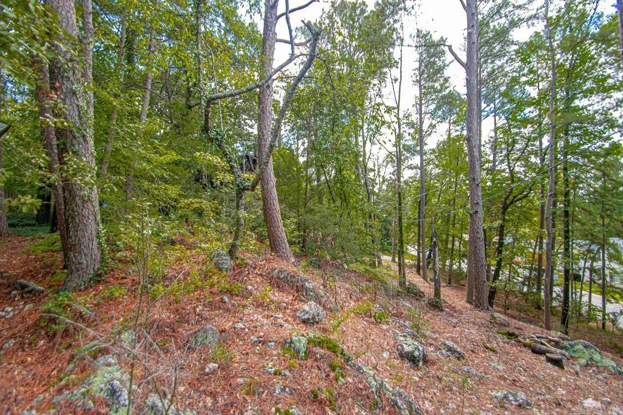 Property at 8011  Harmon - Image 33