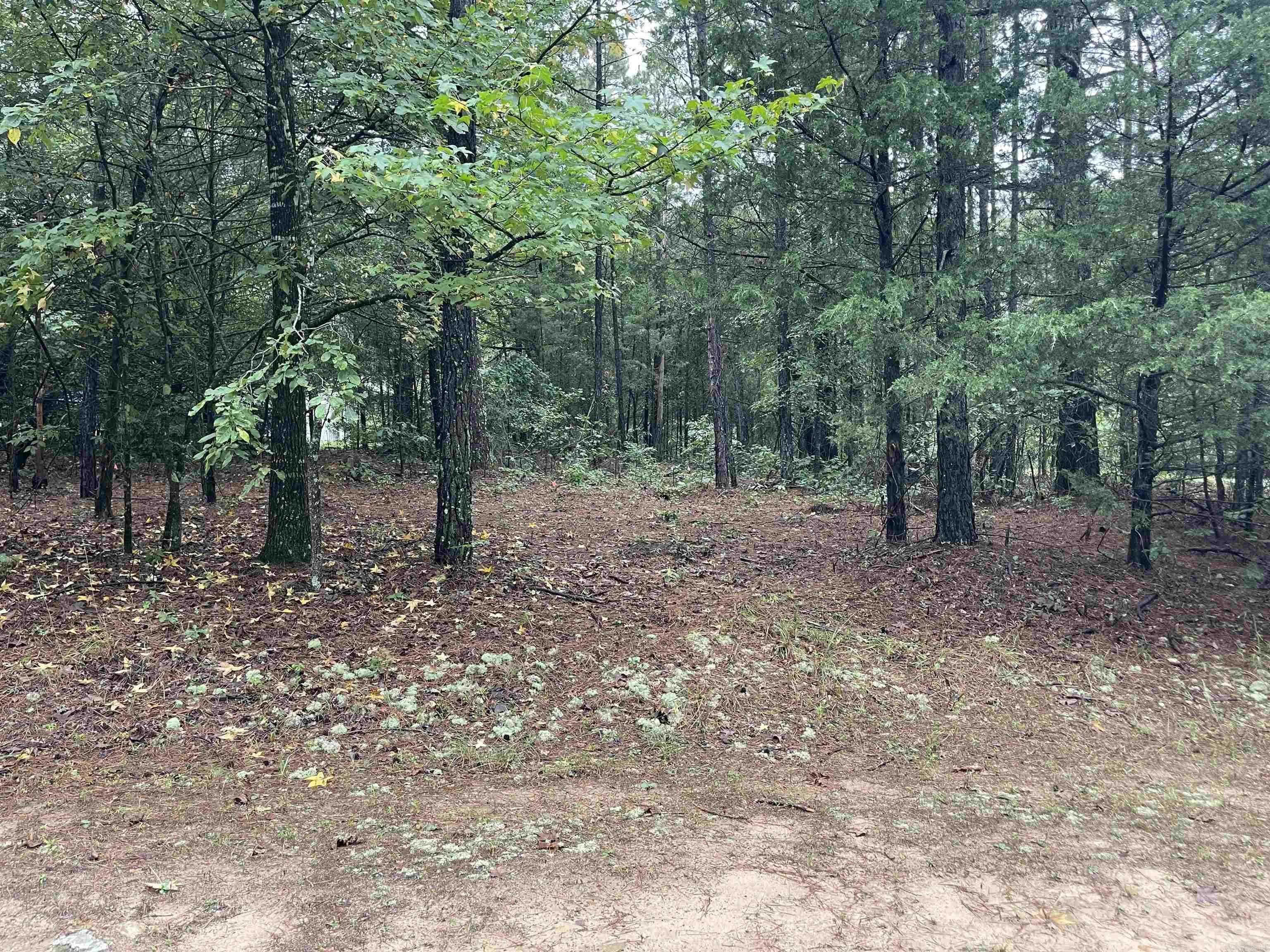 Property at Lot 39  Crockett road - Image 11