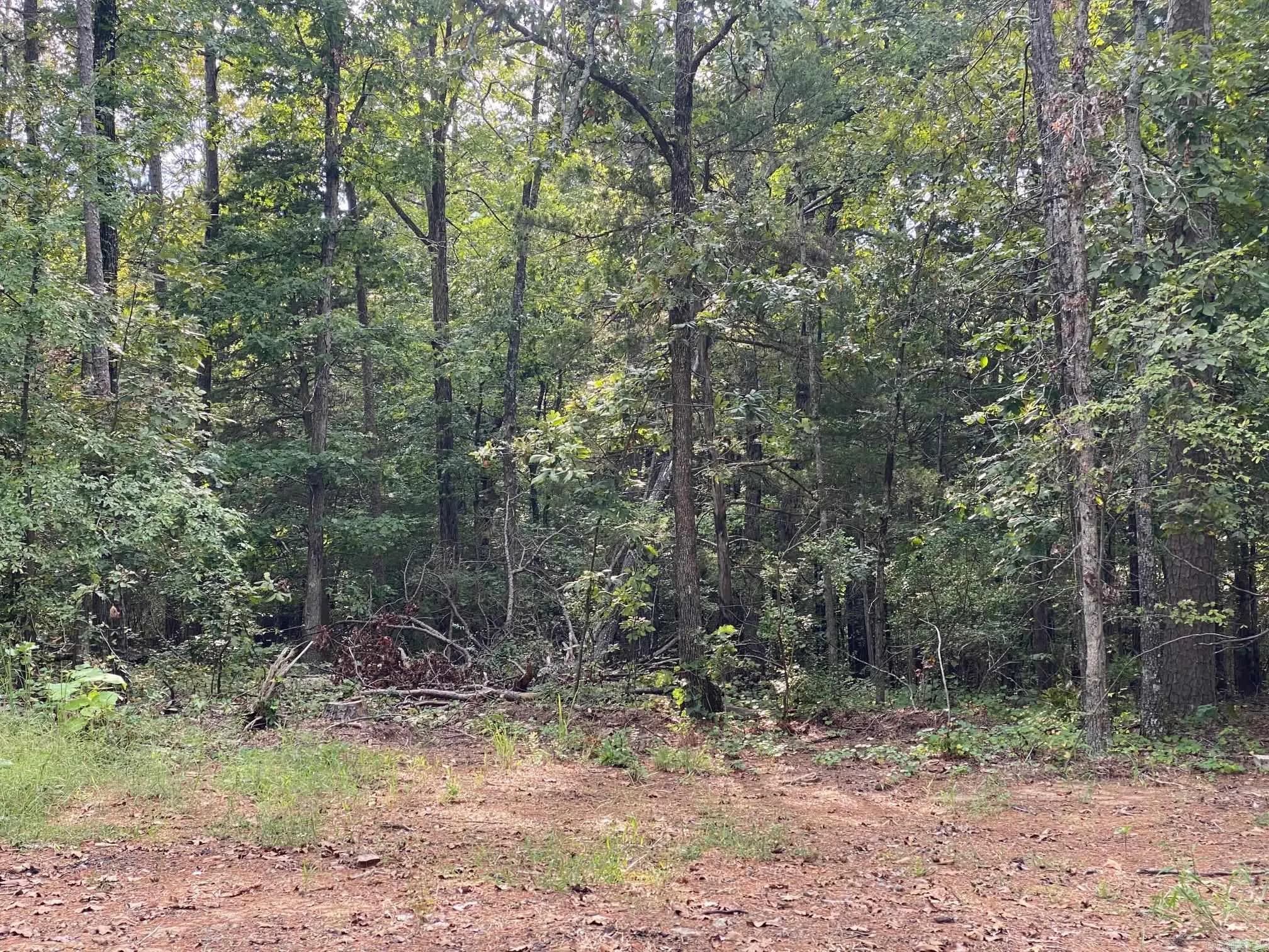 Property at 15  Lynn & oak ln - Image 8
