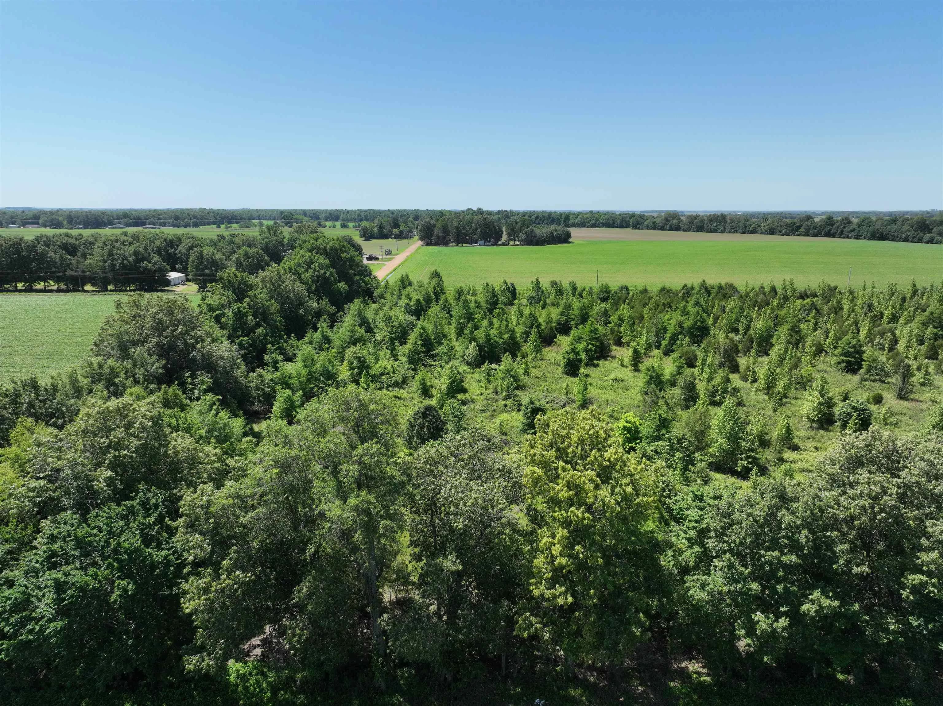 Property at 4 Acres  County road 951 loop - Image 8