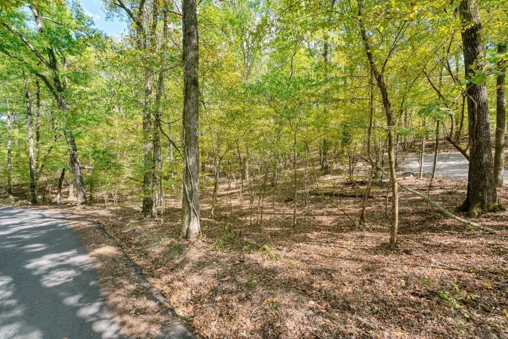 Property at 2300  Shady grove road - Image 21
