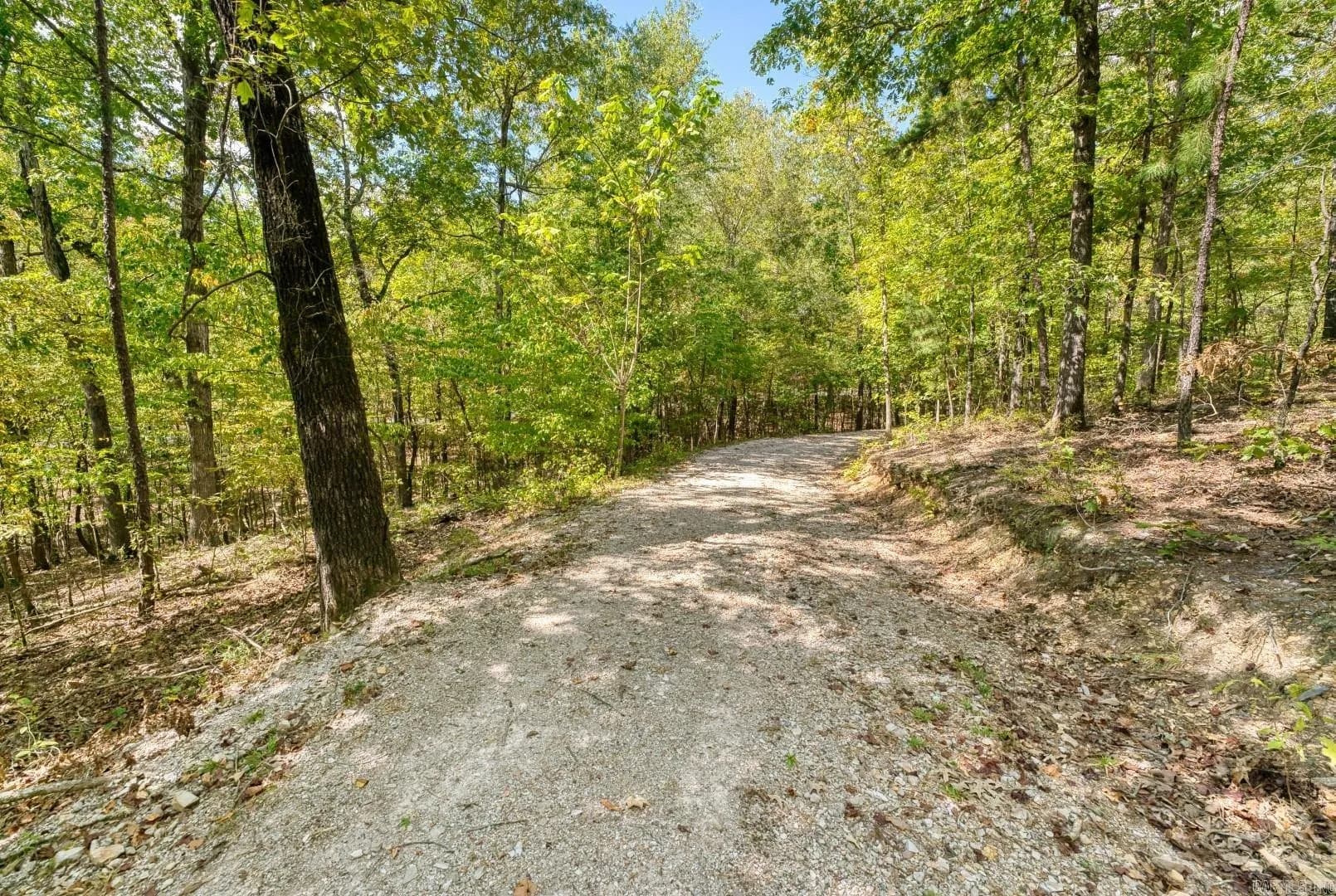 Property at 2300  Shady grove road - Image 12