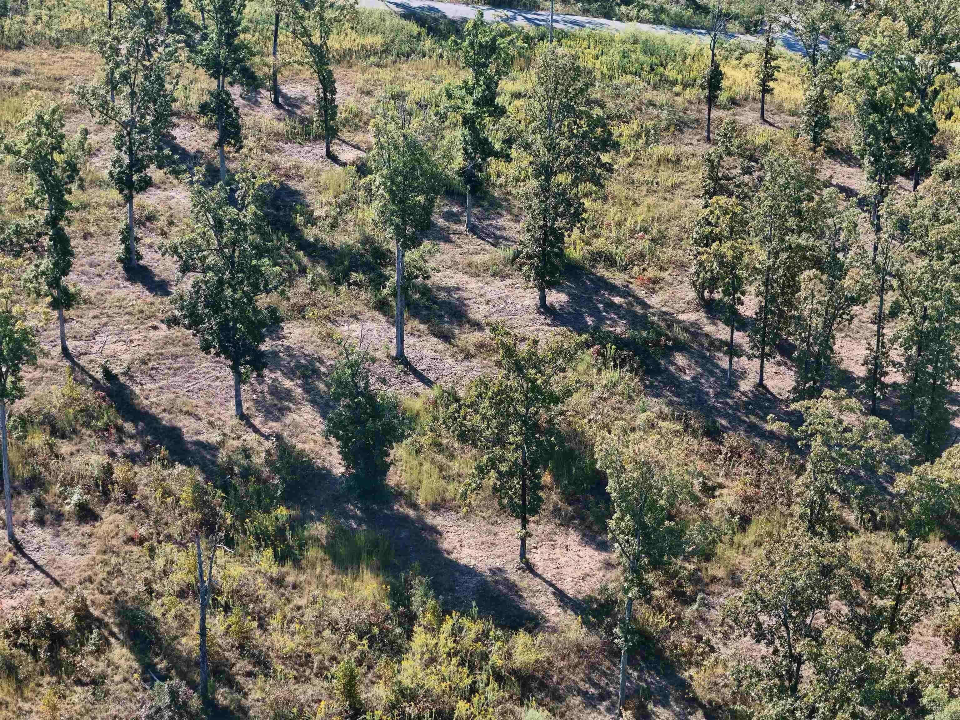 Property at 230  Waterview drive - Image 12