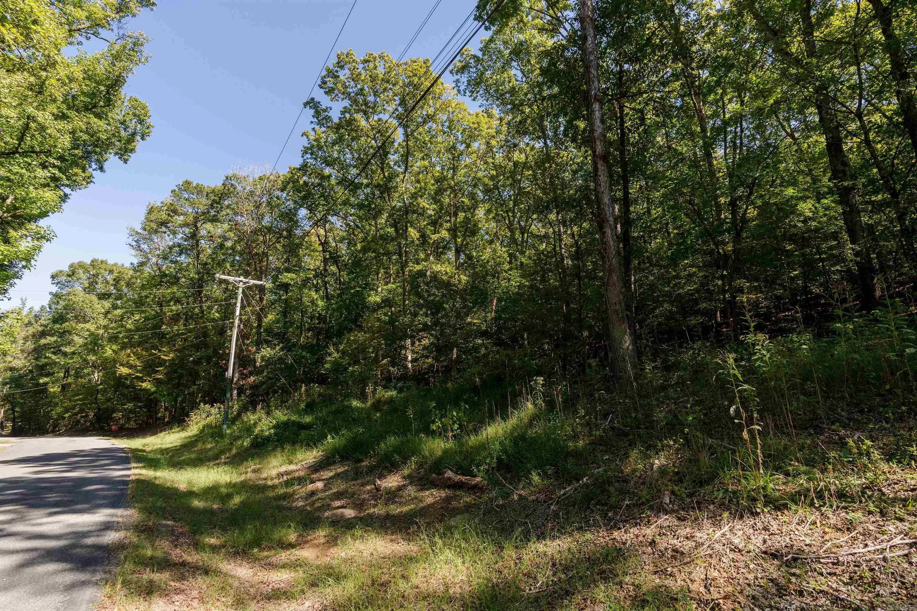 Property at 633  Ferguson - Image 21