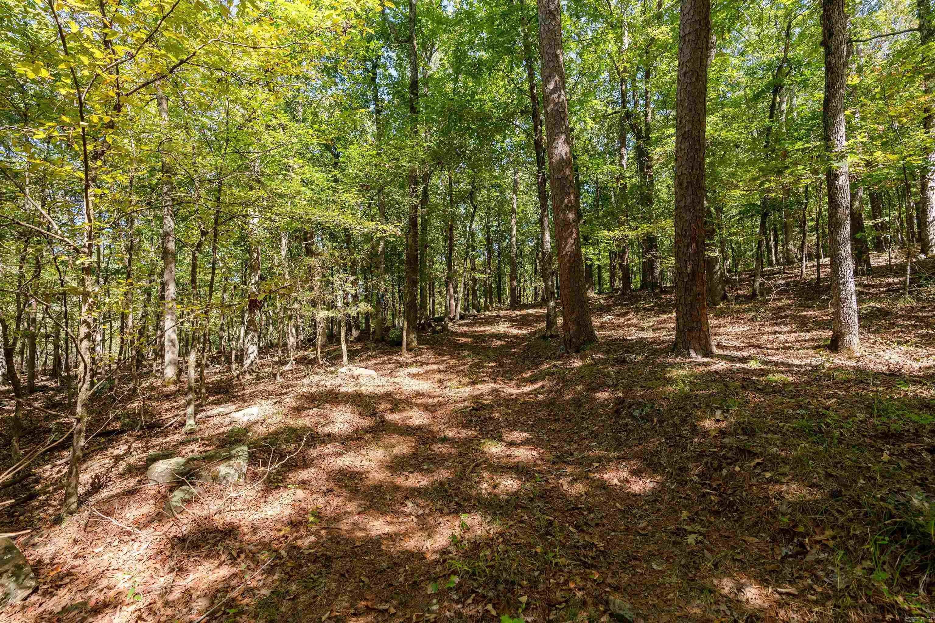 Property at 633  Ferguson - Image 24
