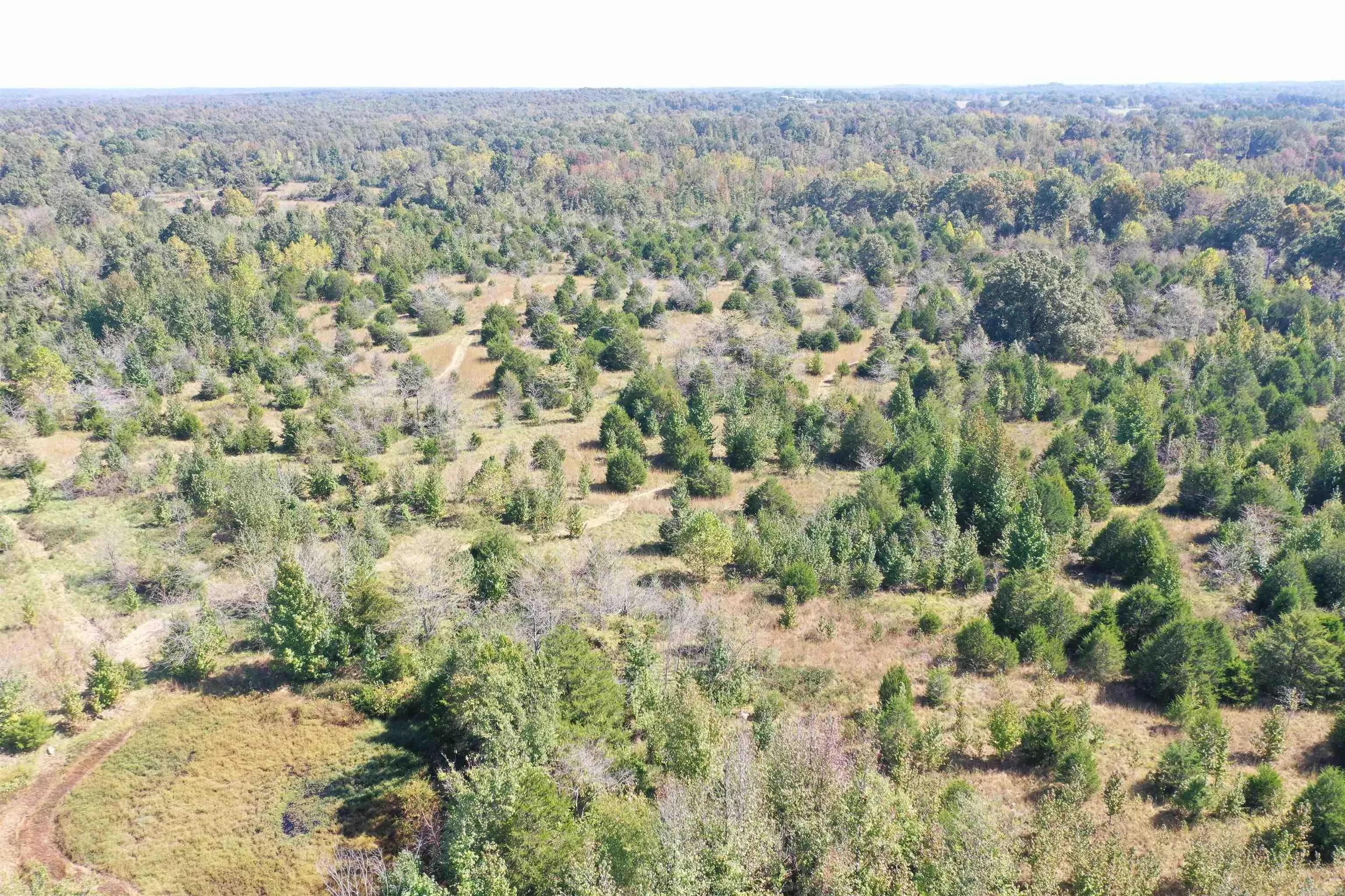 Property at 000  County road 122 - Image 12
