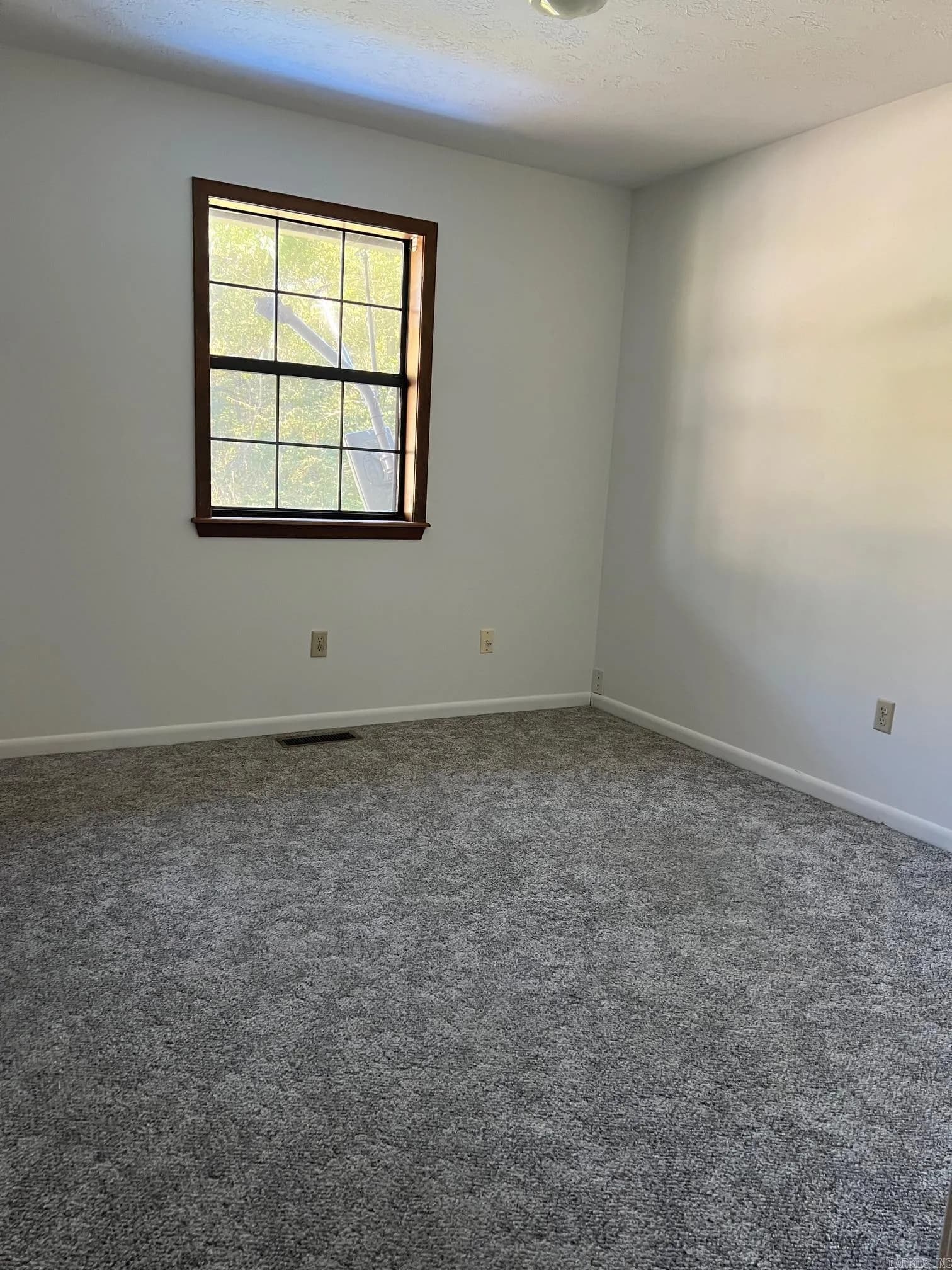 Property at 386  Teal - Image 33