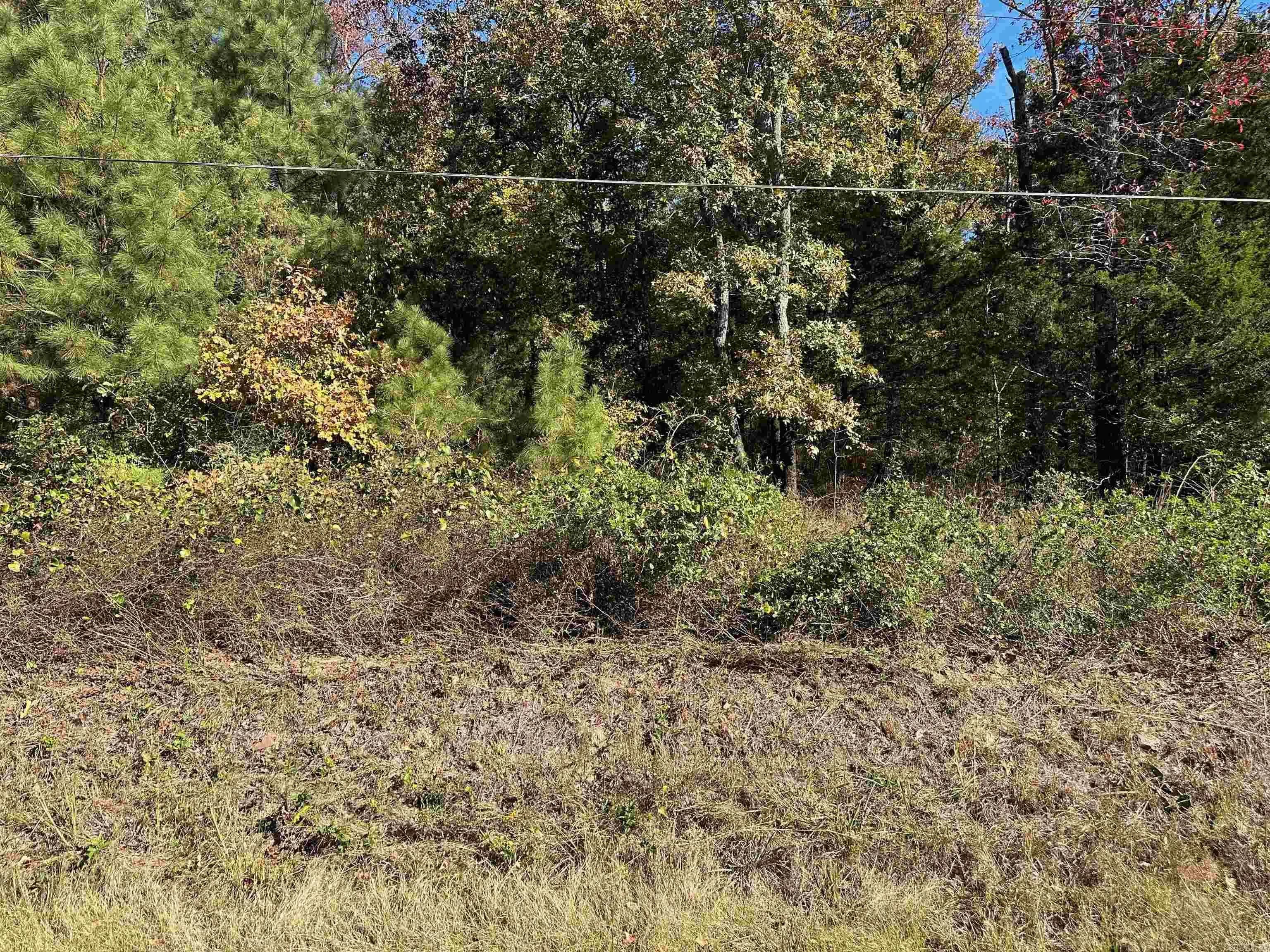 Property at 000 W Carmichael