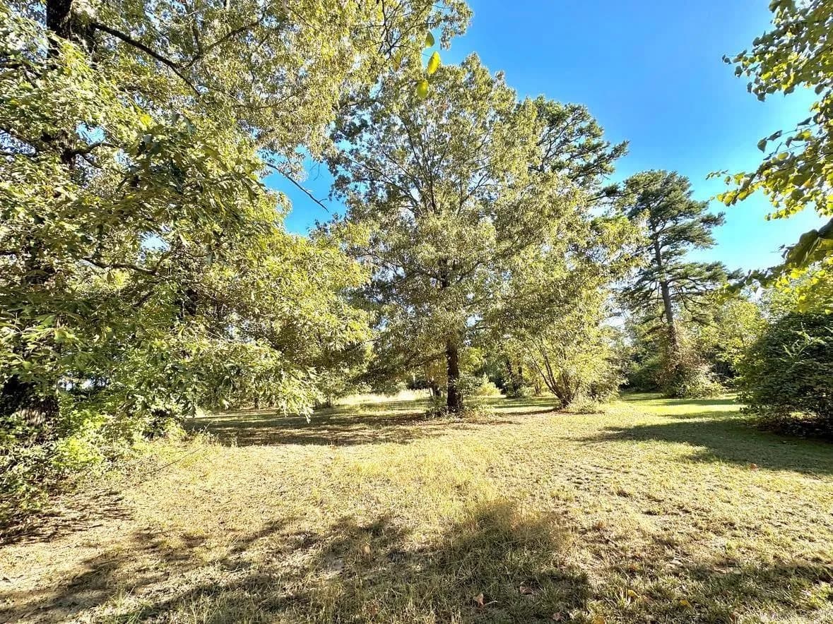 Property at TBD  Polk road 98 - Image 8