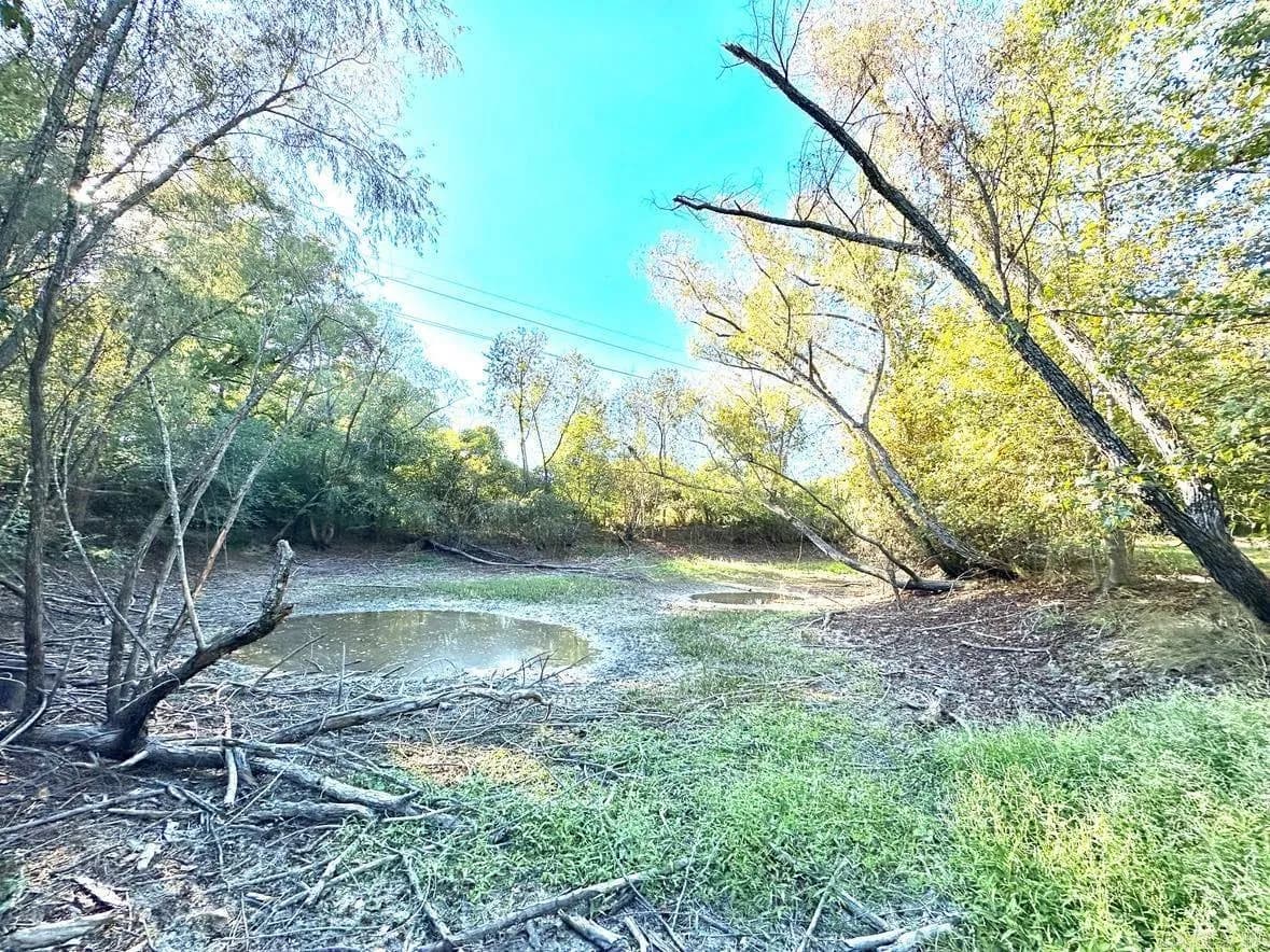 Property at TBD  Polk road 98 - Image 5