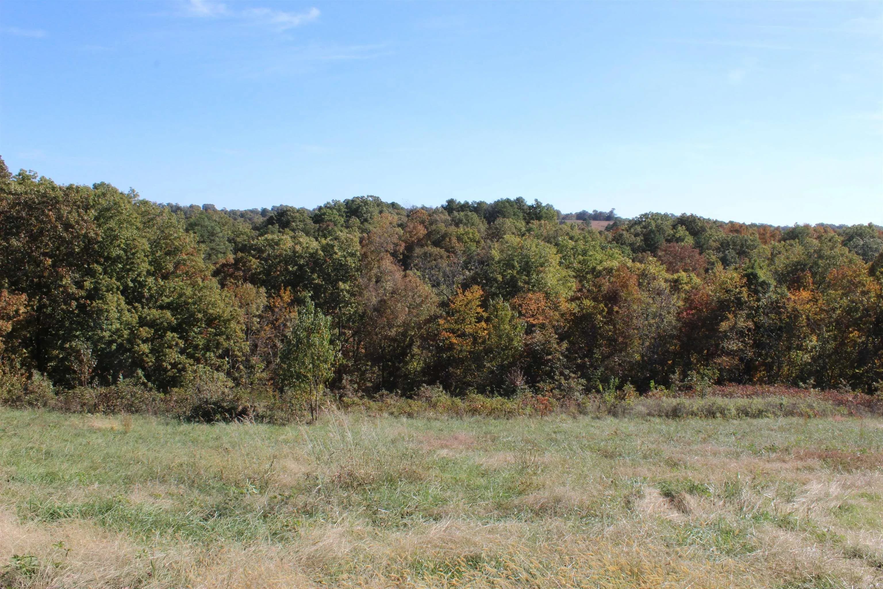 Property at 1041  Red bluff road - Image 20