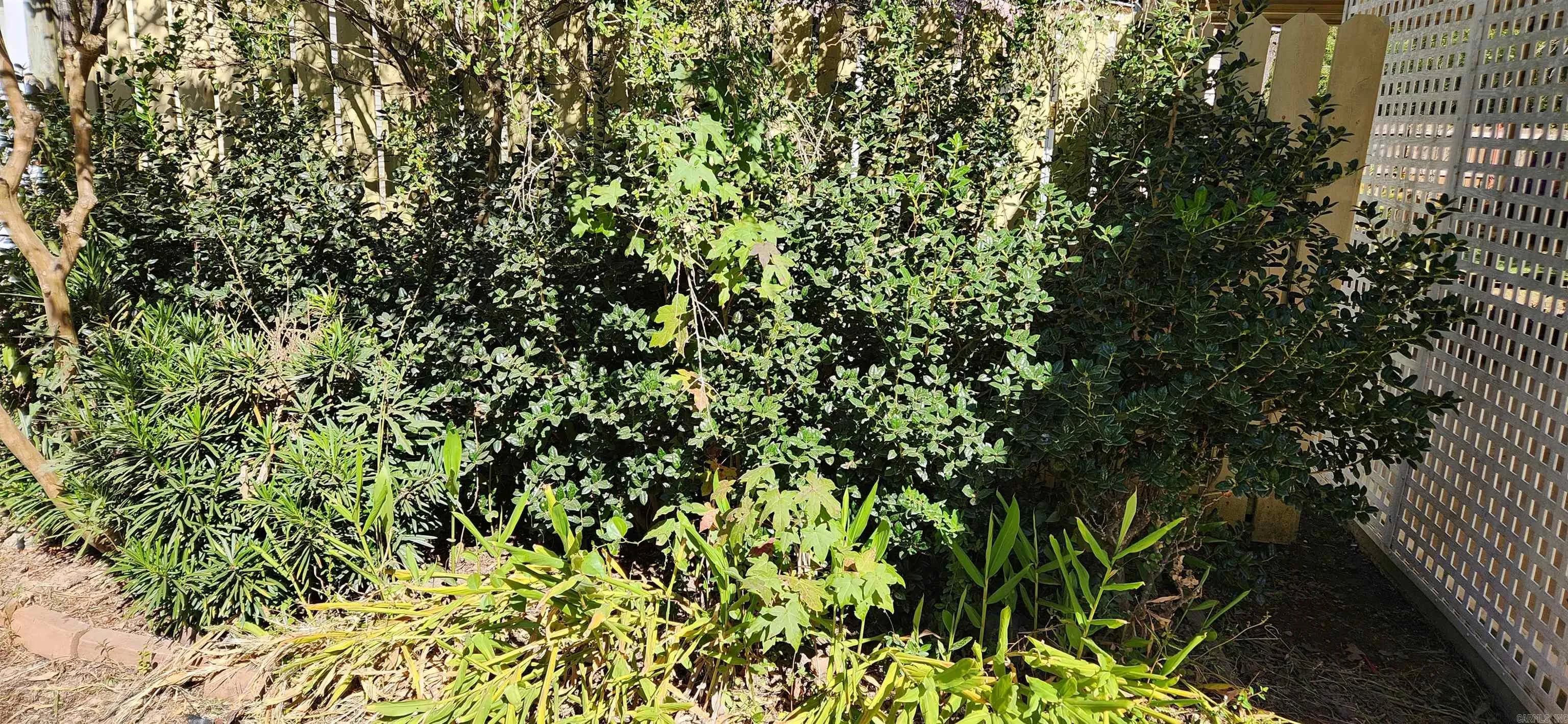 Property at 145  Belmont rd - Image 6