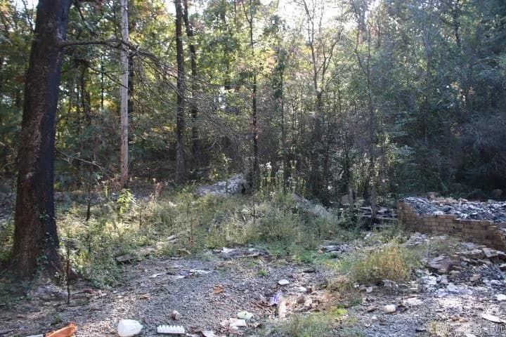 Property at 5123  Kelly - Image 3