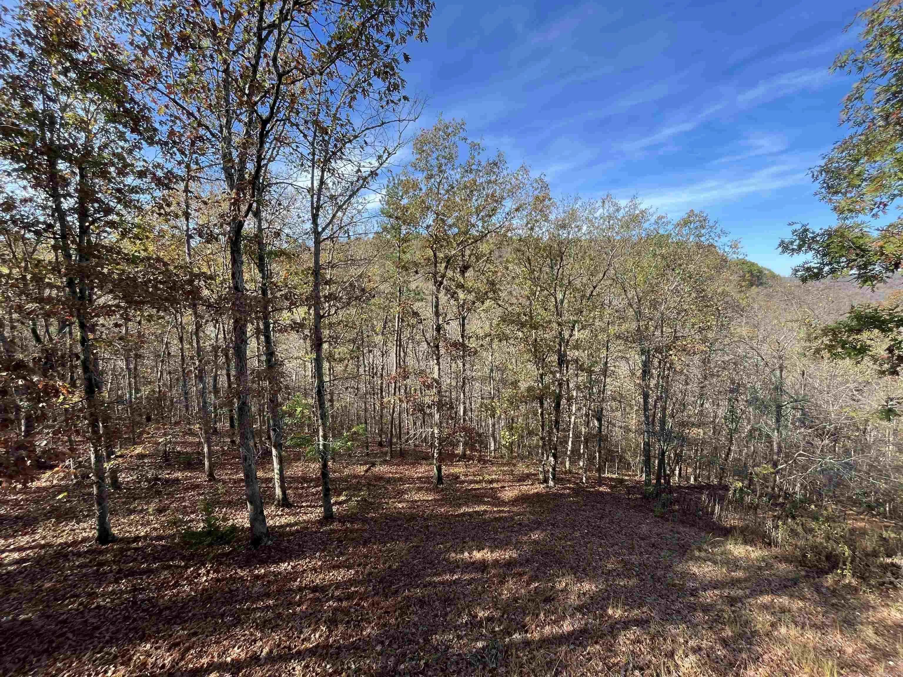 Property at 1221  Lovell ln - Image 21