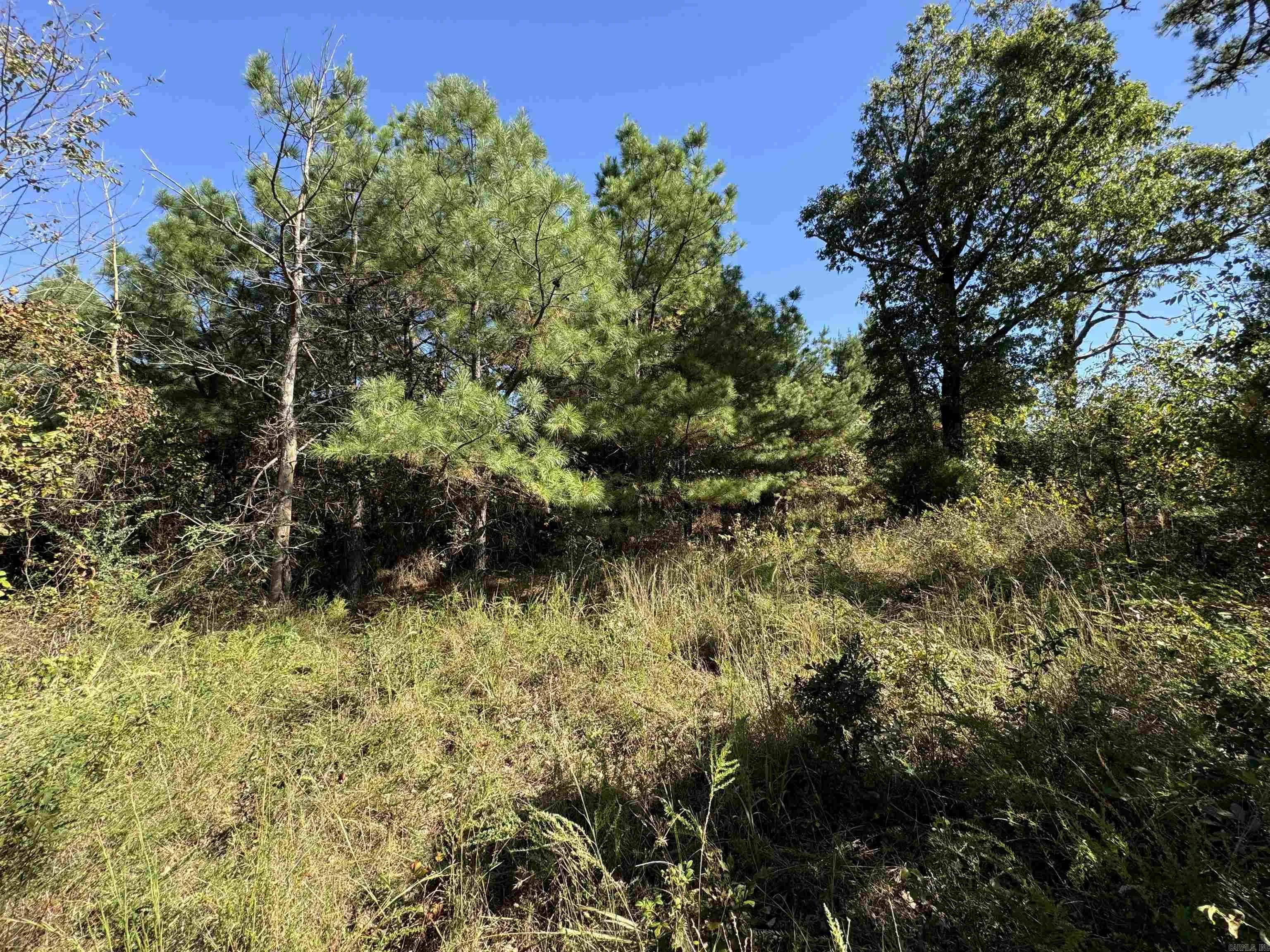 Property at 00  Calico - Image 15