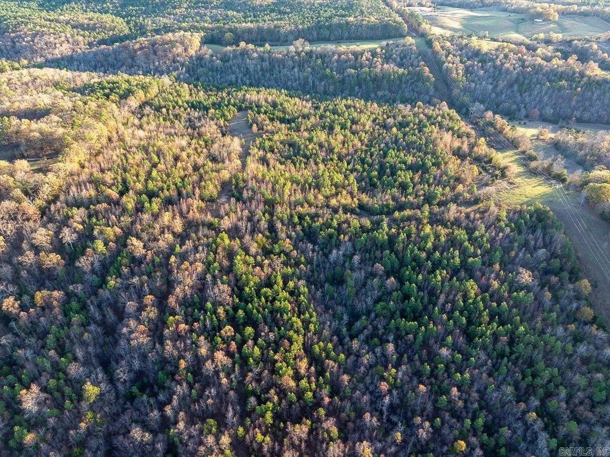 Property at TBD Easement Rd  Off polk 295 - Image 20