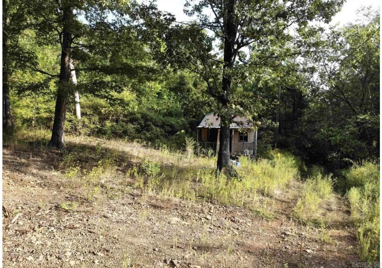 Property at 3008  Highway 65 n - Image 1