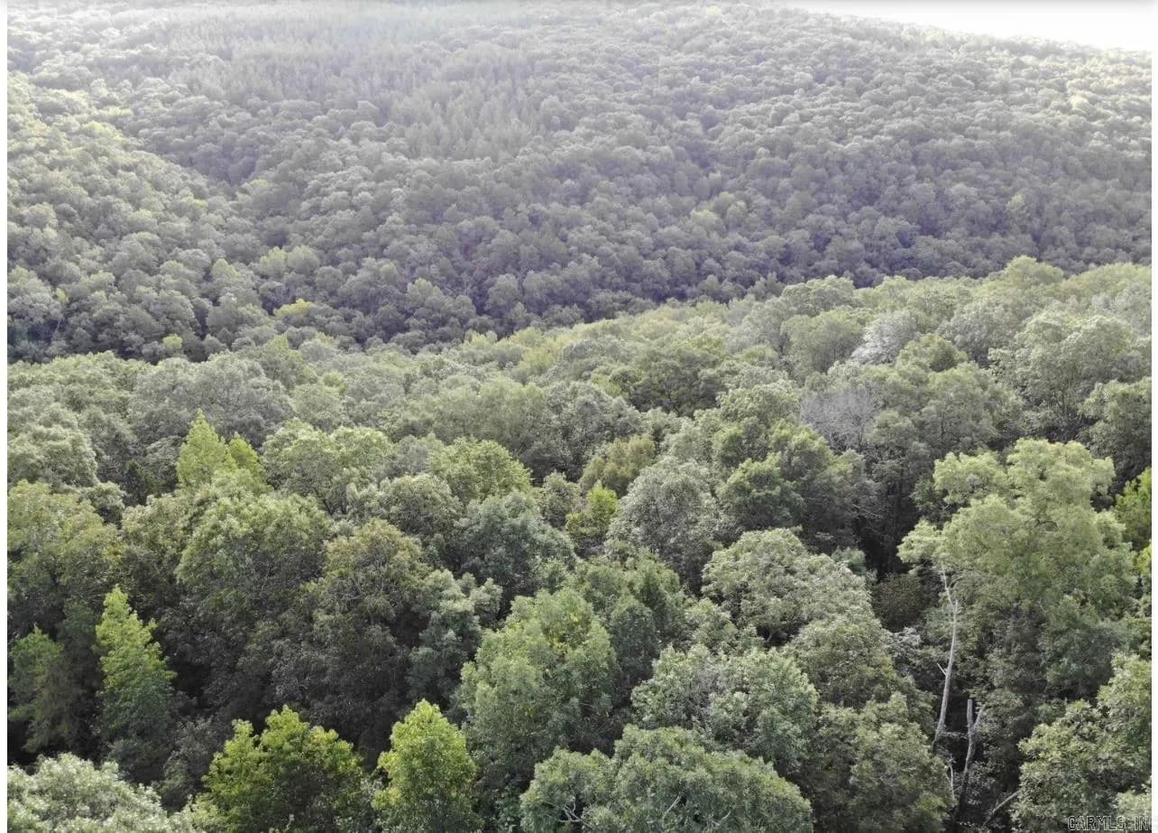 Property at 3008  Highway 65 n - Image 3