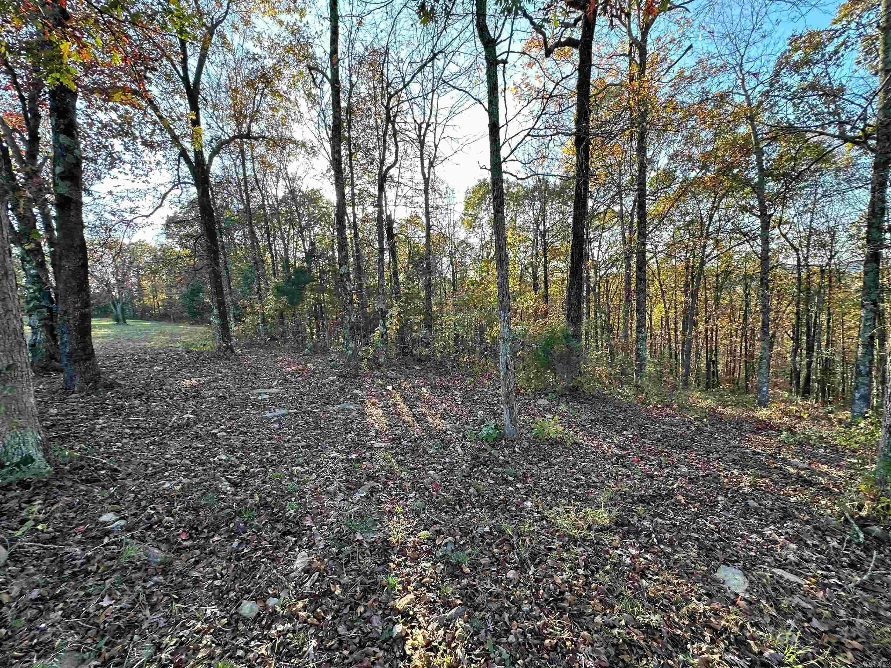 Property at 8997  Highway 9 - Image 38