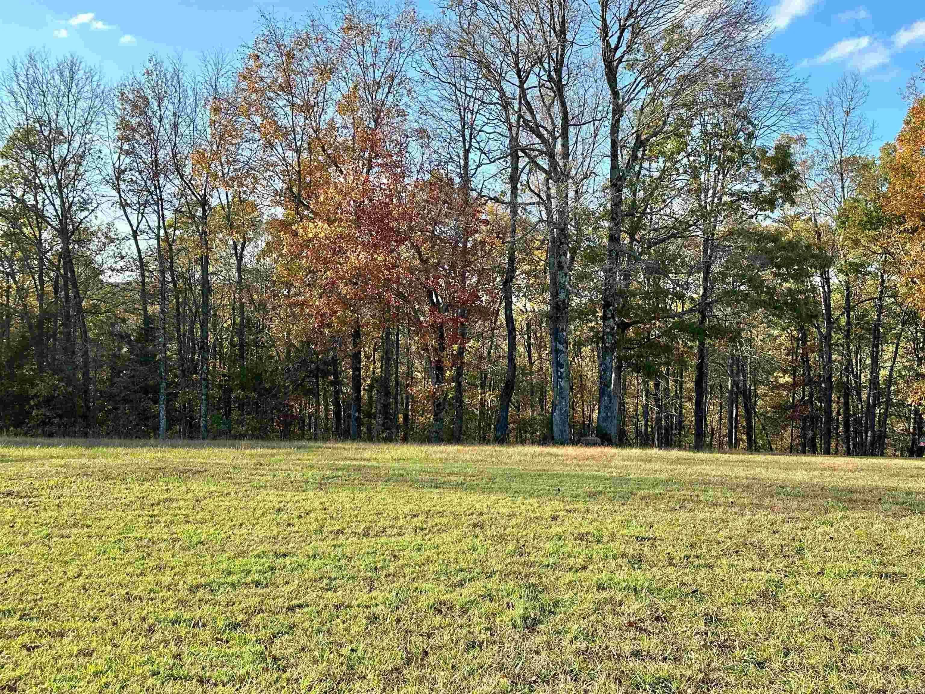 Property at 8997  Highway 9 - Image 33