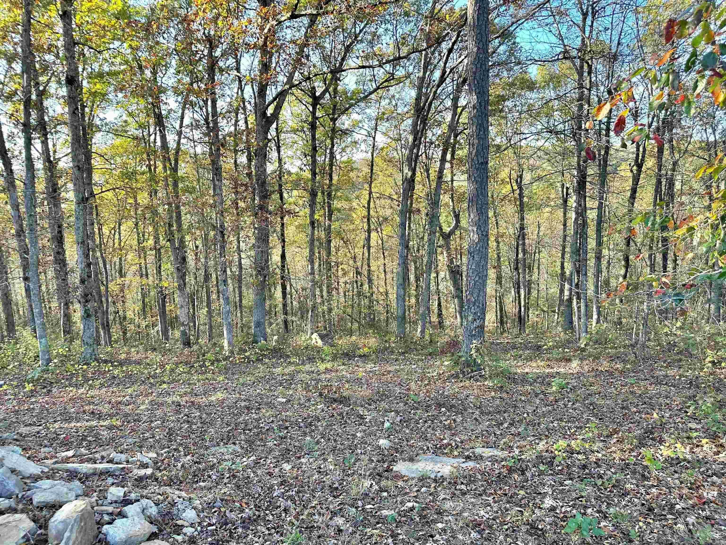 Property at 8997  Highway 9 - Image 35