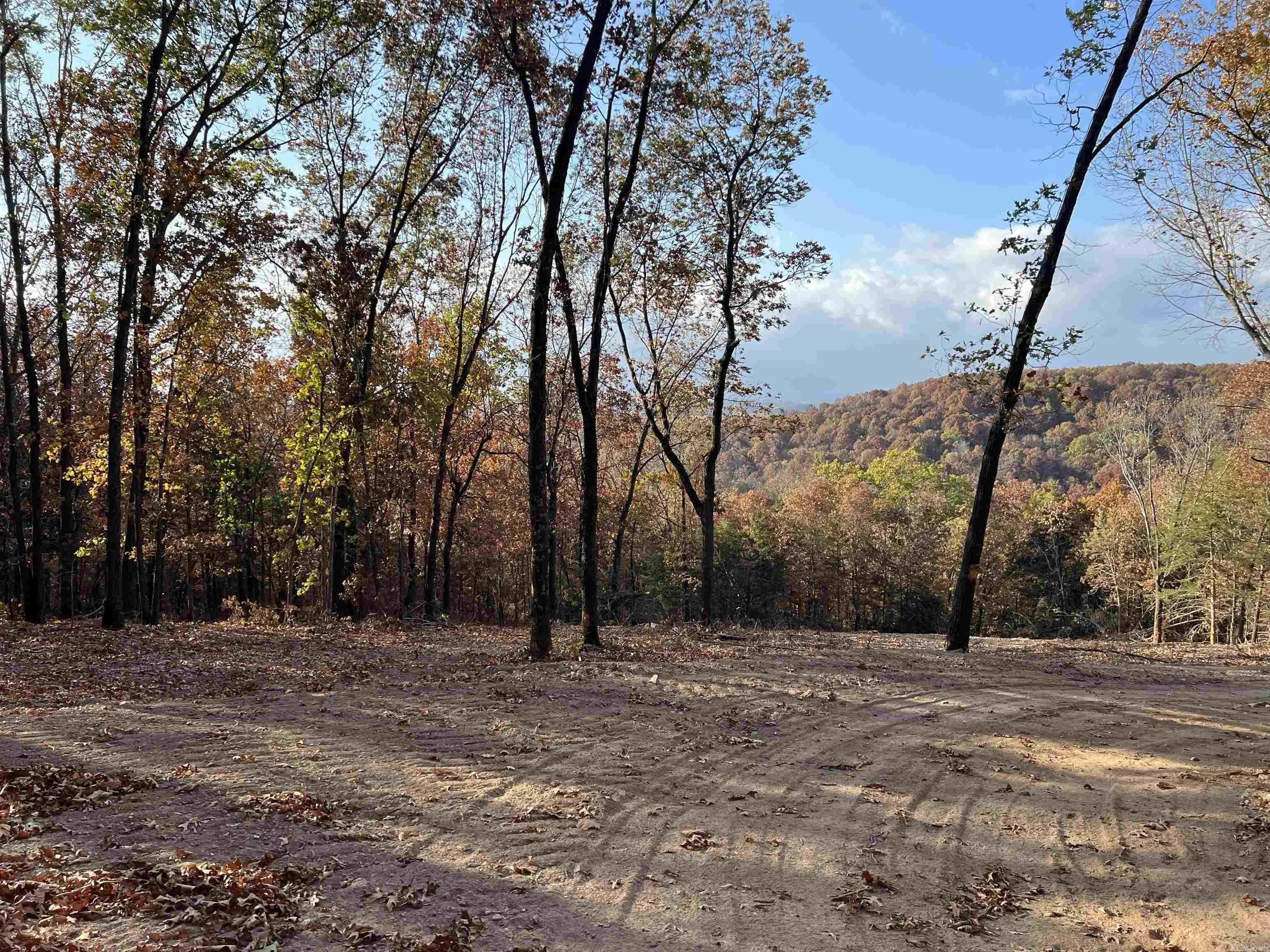 Property at 11.00 AC  Jackson - Image 3