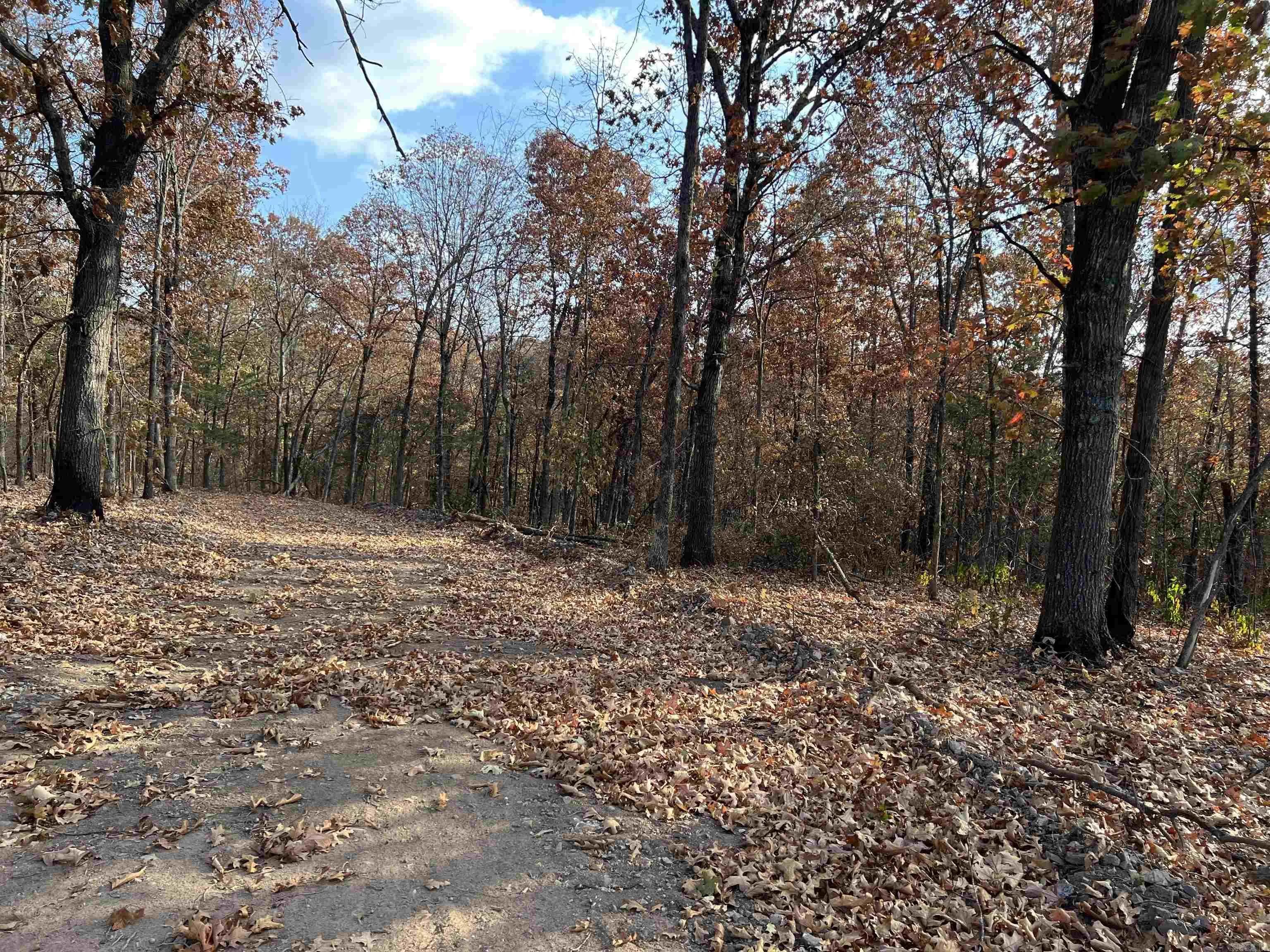 Property at 10.14 AC  Jackson - Image 5