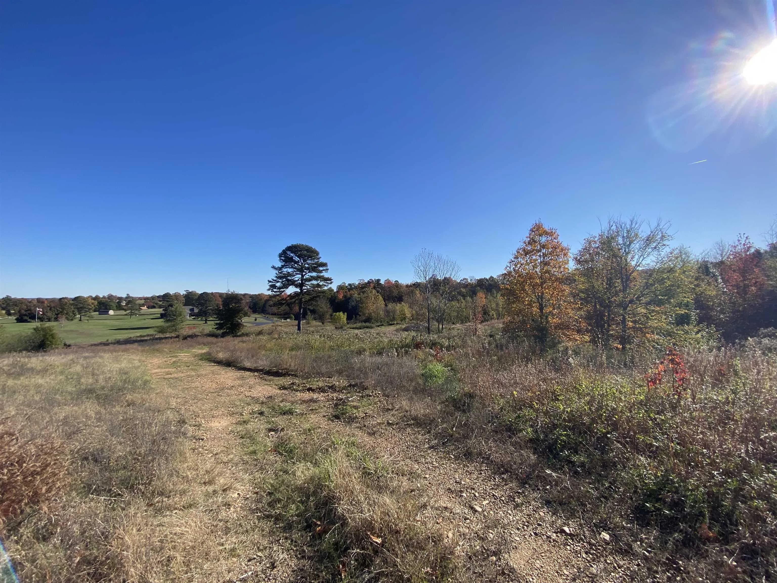Property at 13616 N 163 - Image 3