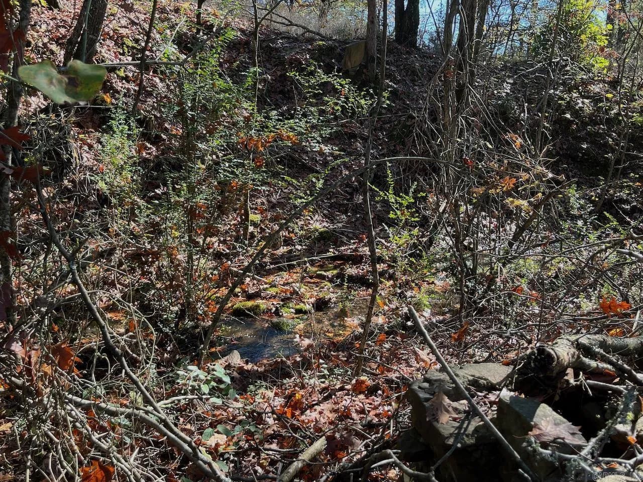 Property at 669  Goff rd - Image 14