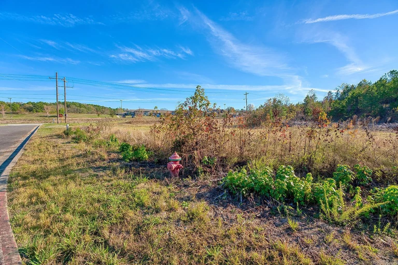 Property at 2600 Block  Park avenue  Lot 2R - Image 9