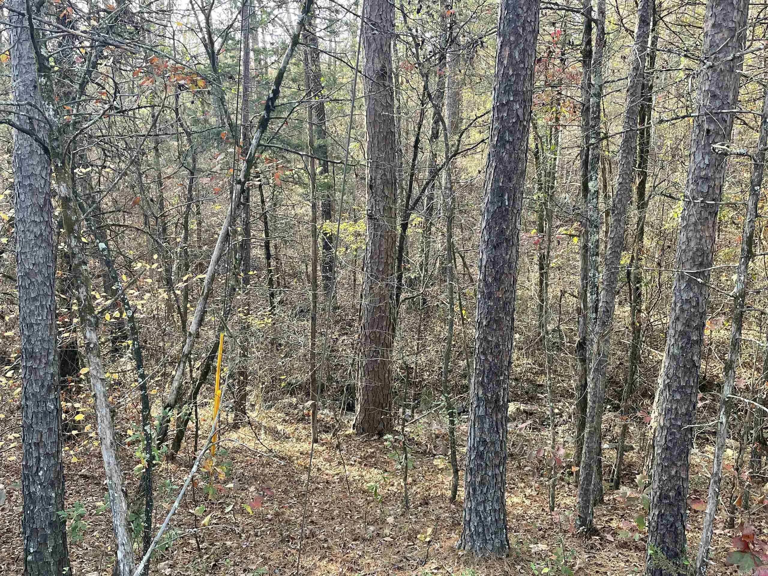 Property at 000  Shelby road - Image 6