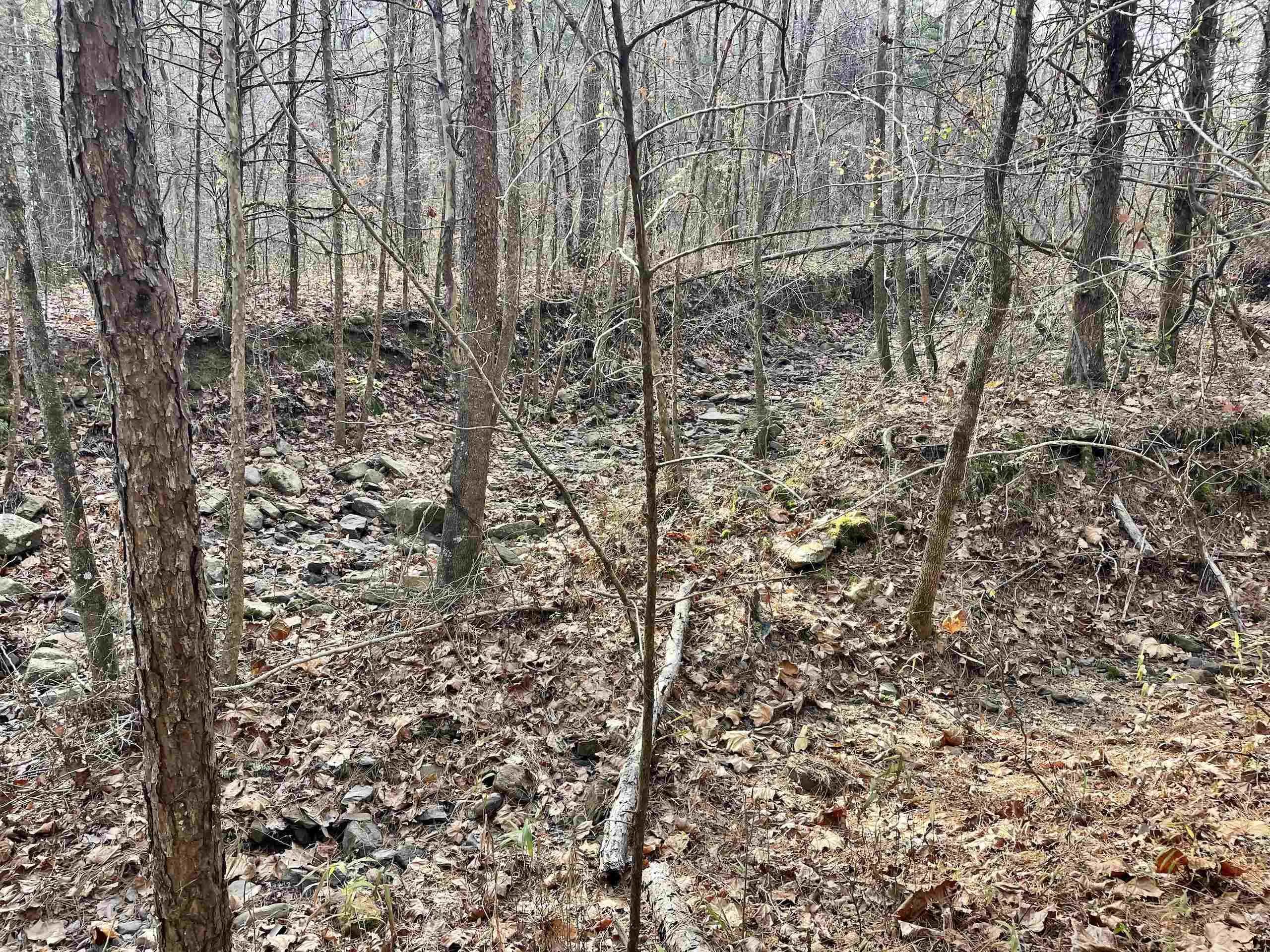 Property at 000  Shelby road - Image 26