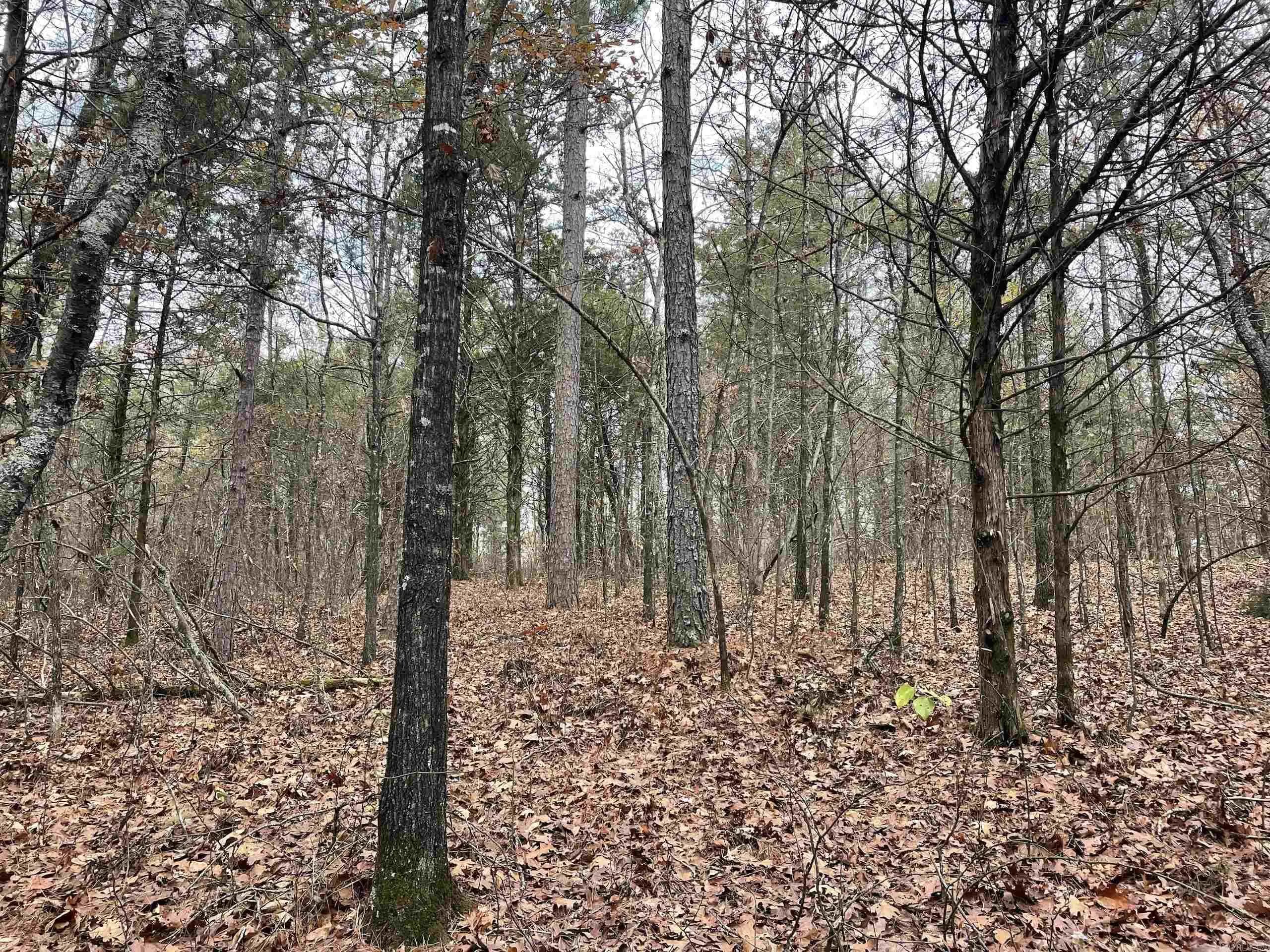 Property at 002  Shelby road - Image 93