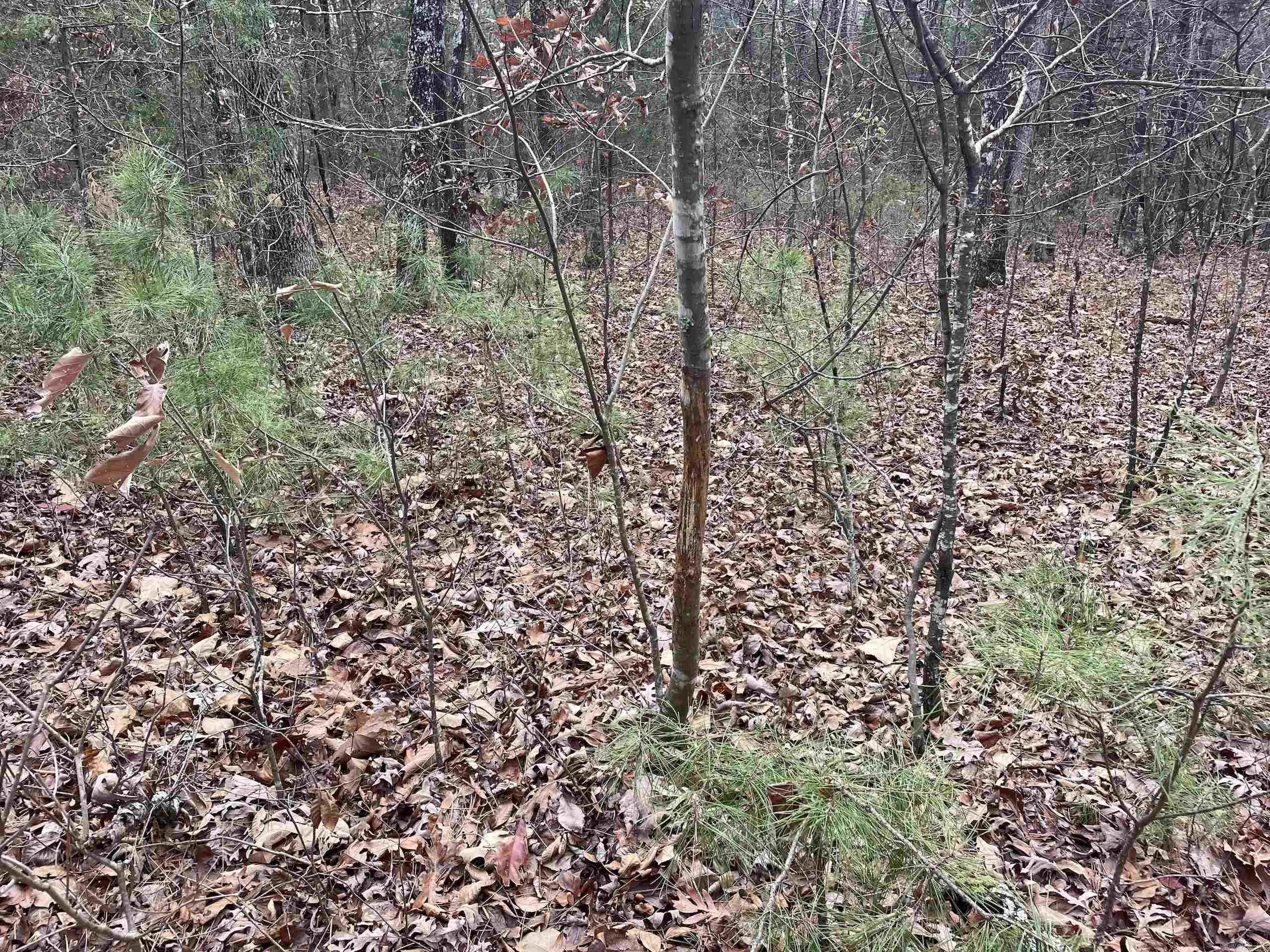 Property at 002  Shelby road - Image 74