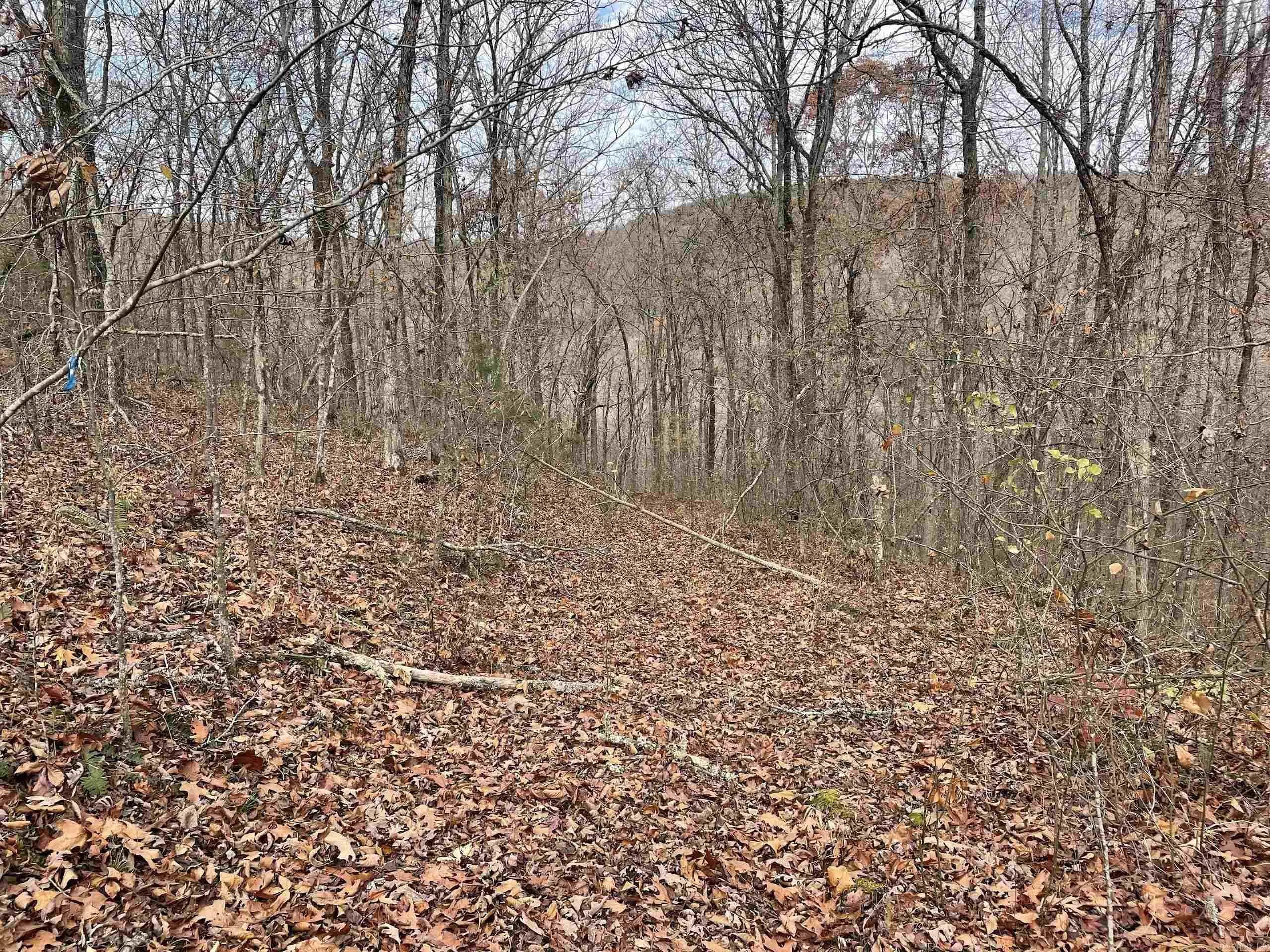 Property at 002  Shelby road - Image 61