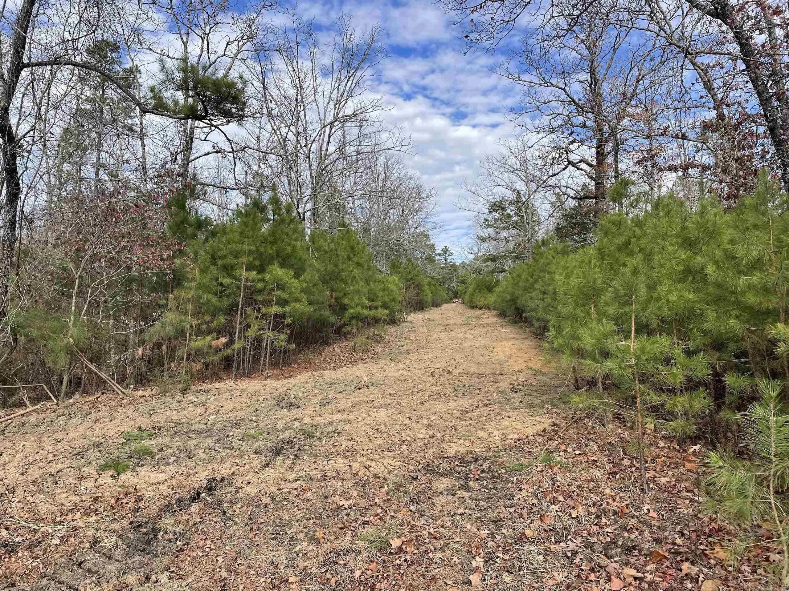 Property at 002  Shelby road - Image 25