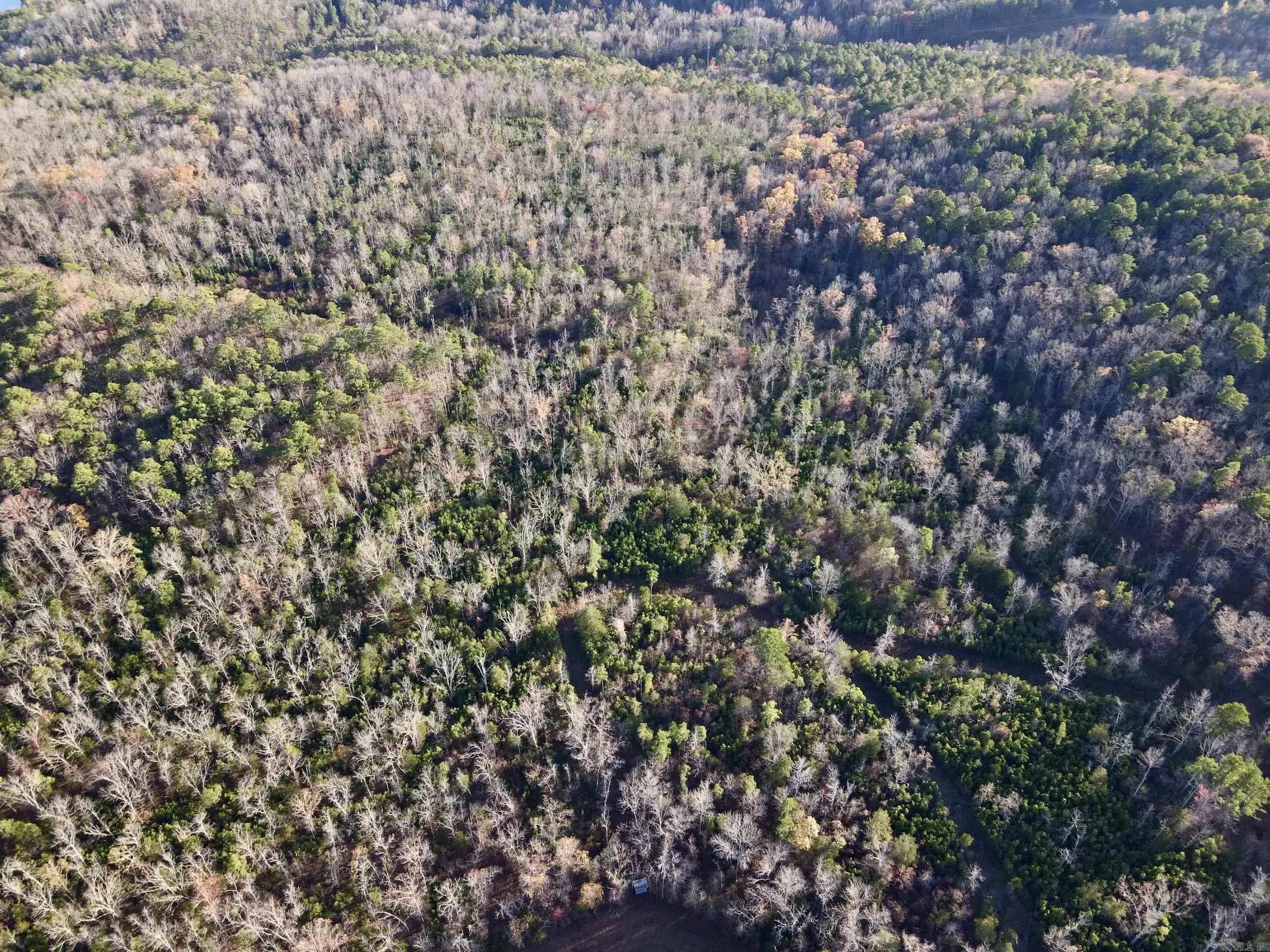 Property at 002  Shelby road - Image 14