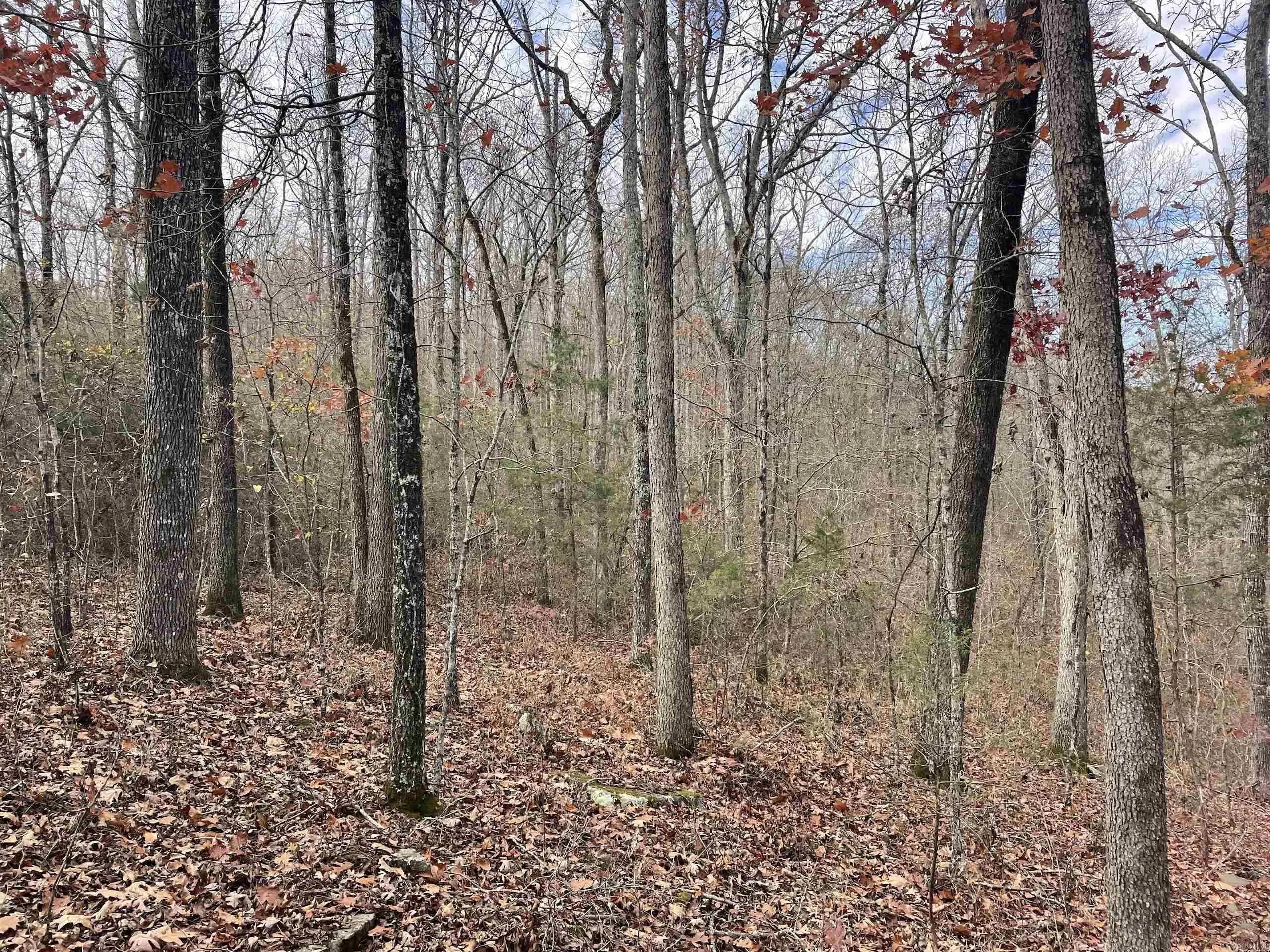 Property at 002  Shelby road - Image 55