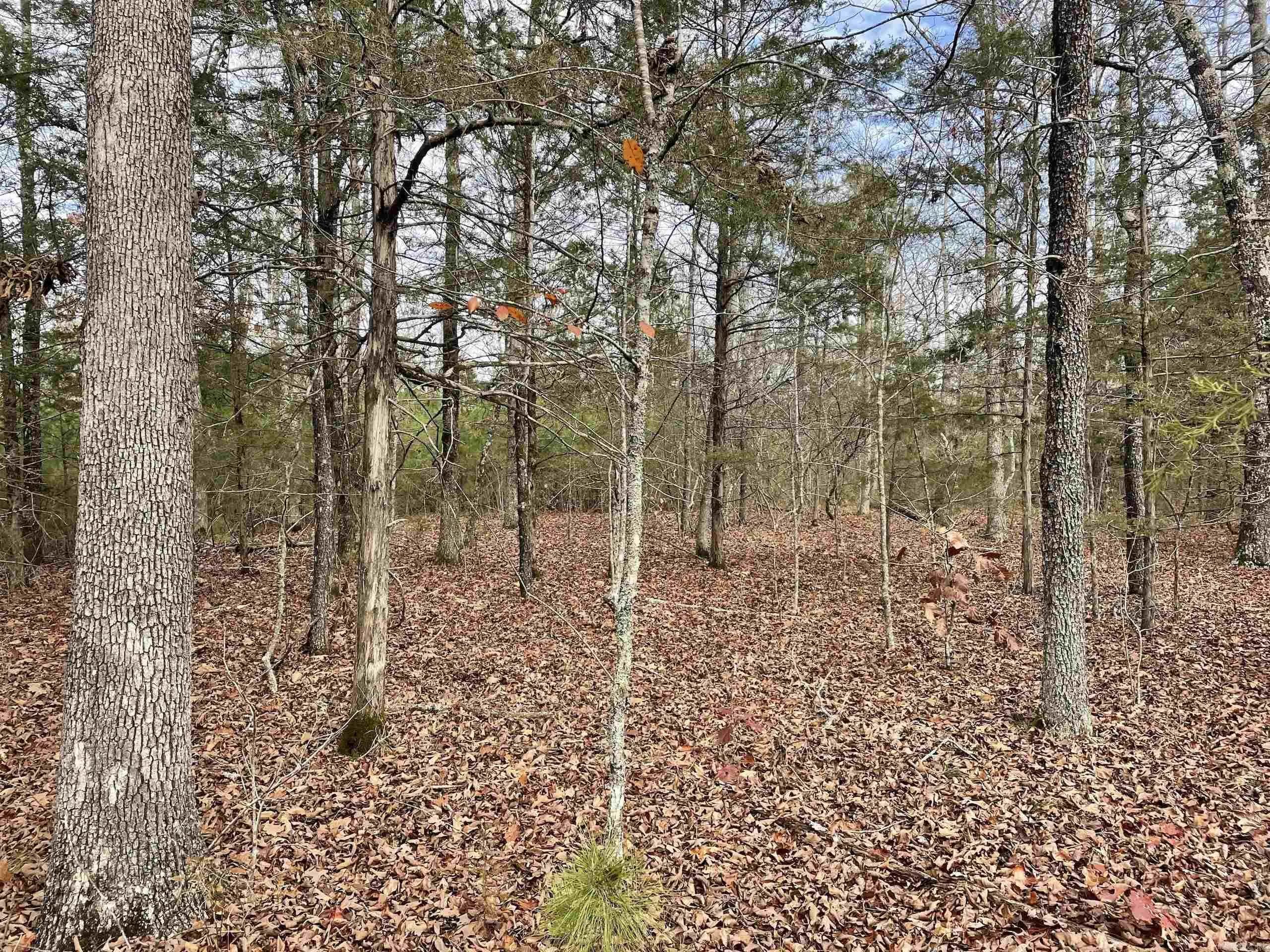 Property at 002  Shelby road - Image 43