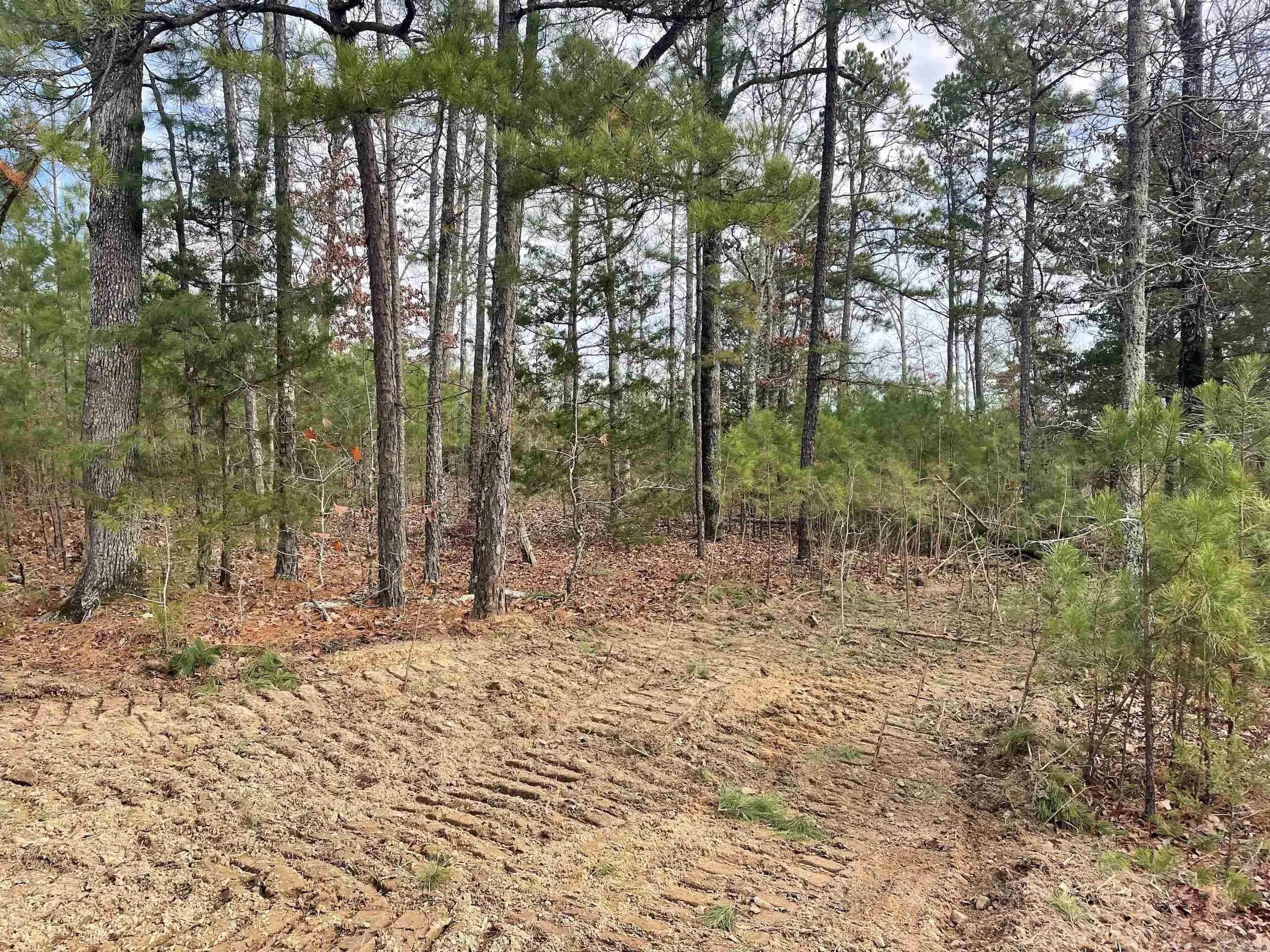 Property at 002  Shelby road - Image 22