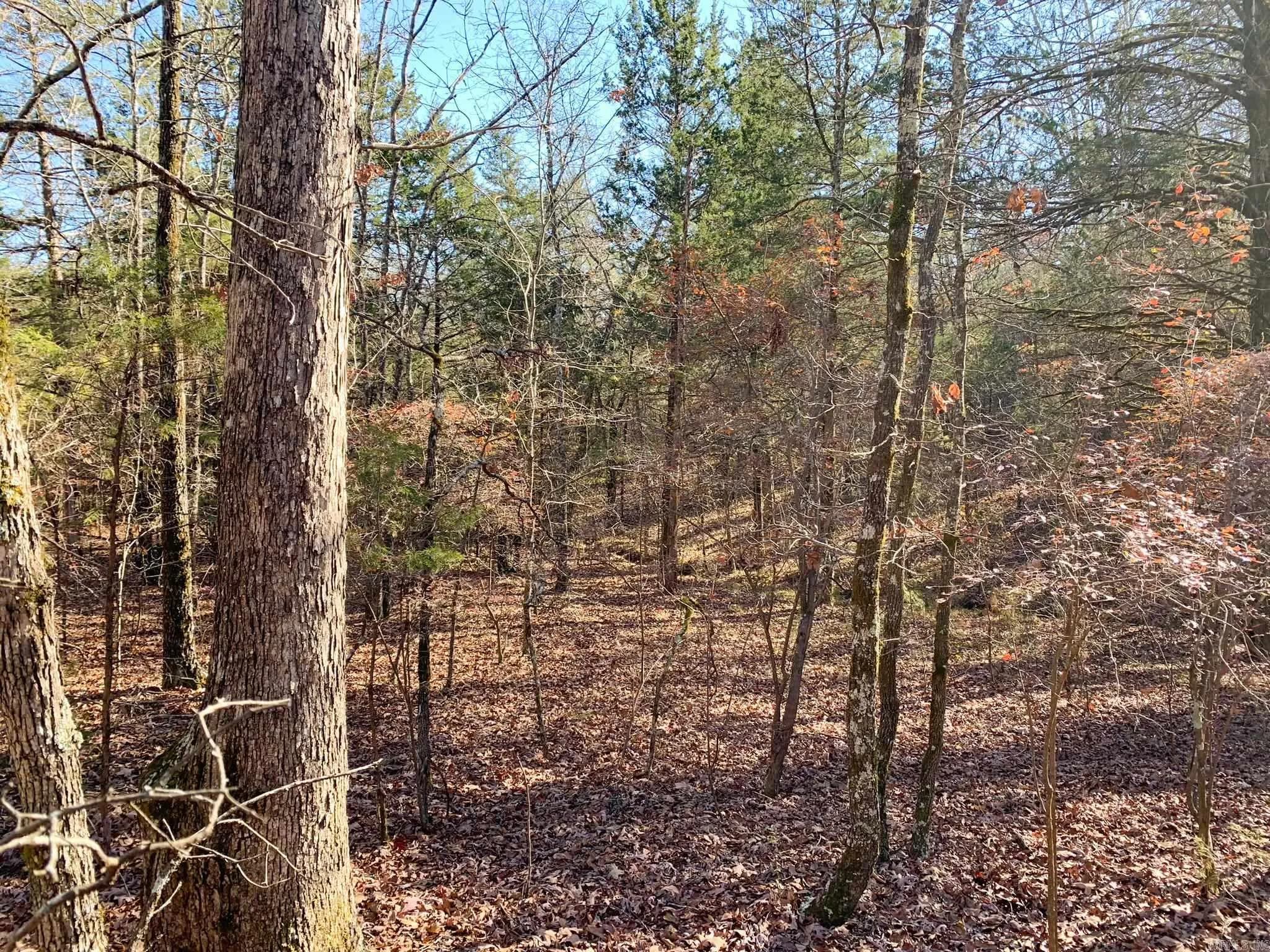 Property at 150  Odom pt - Image 6