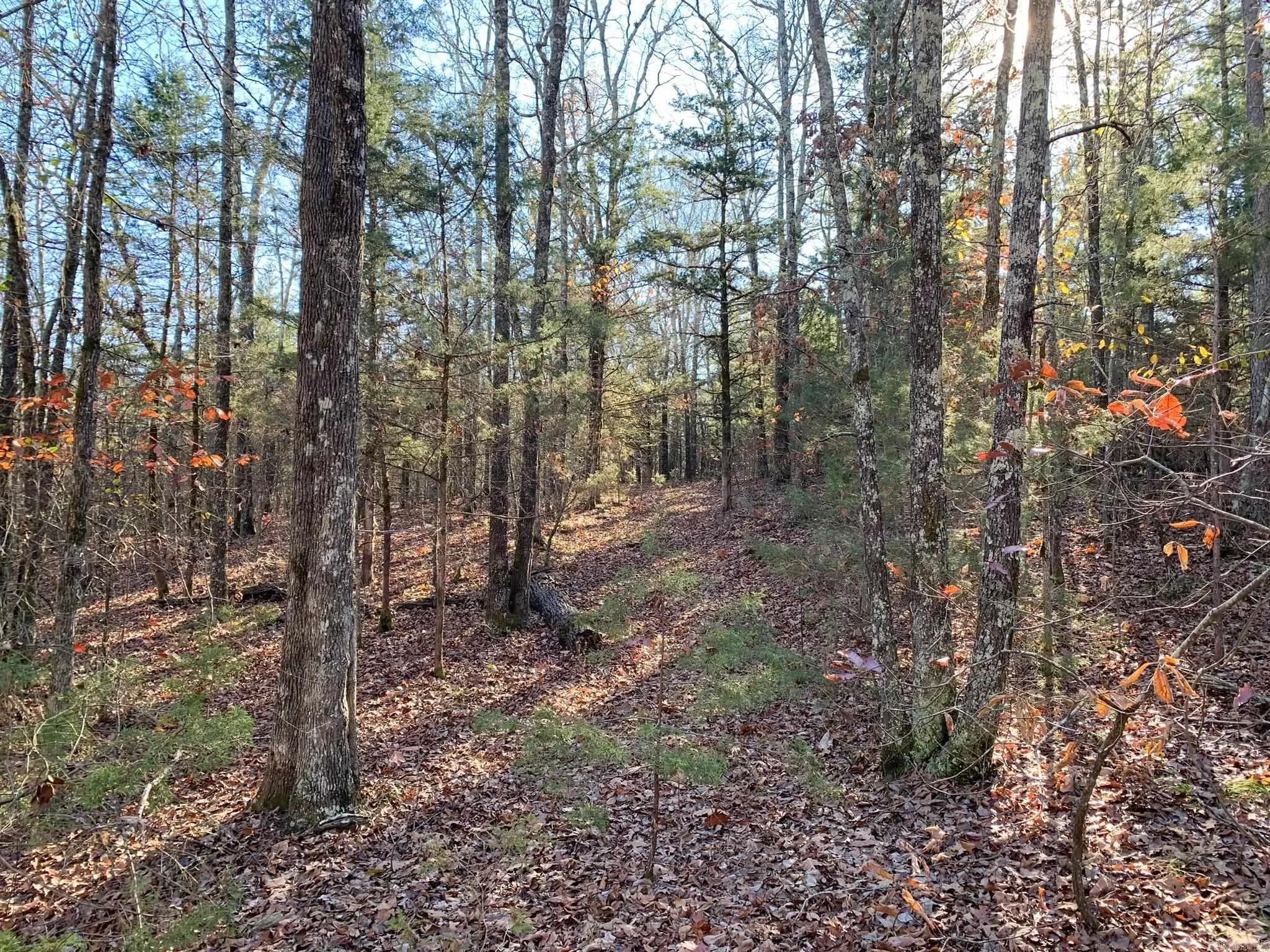 Property at 152  Odom pt - Image 10