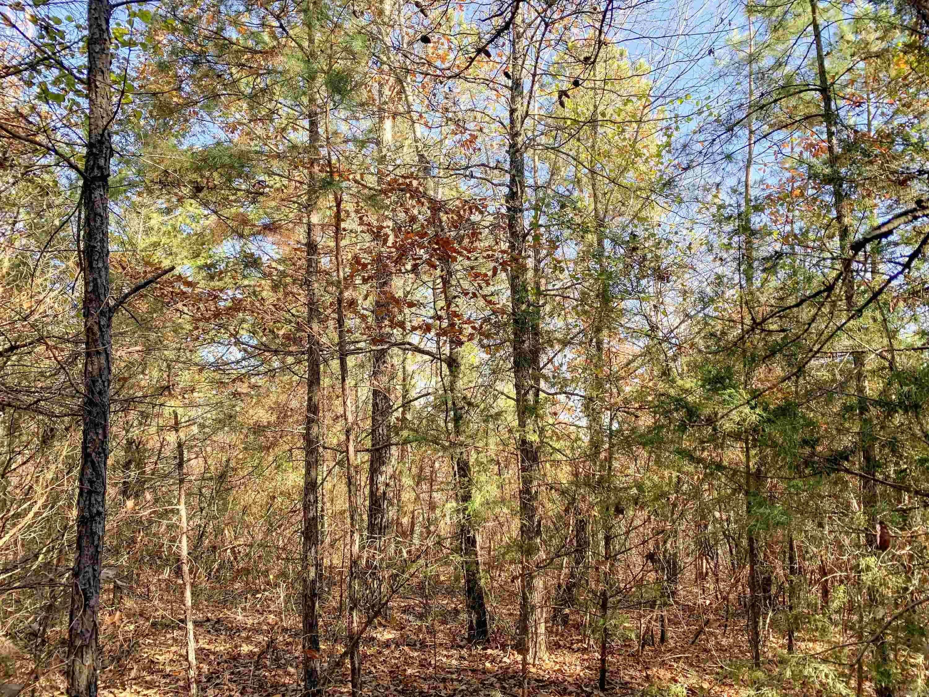 Property at 154  Odom pt - Image 9