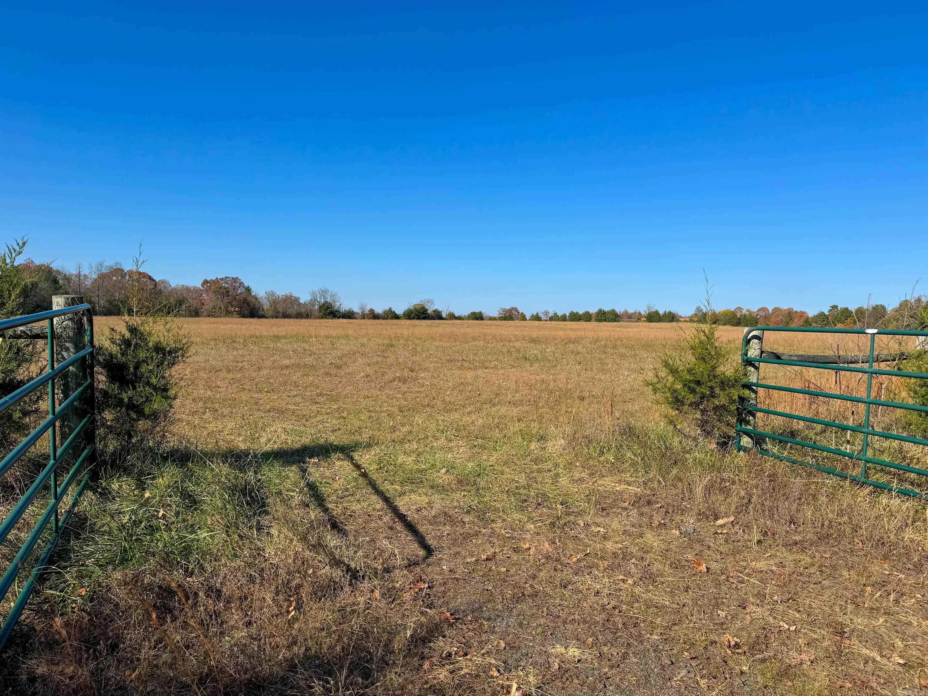 Property at 447  Guy - Image 2