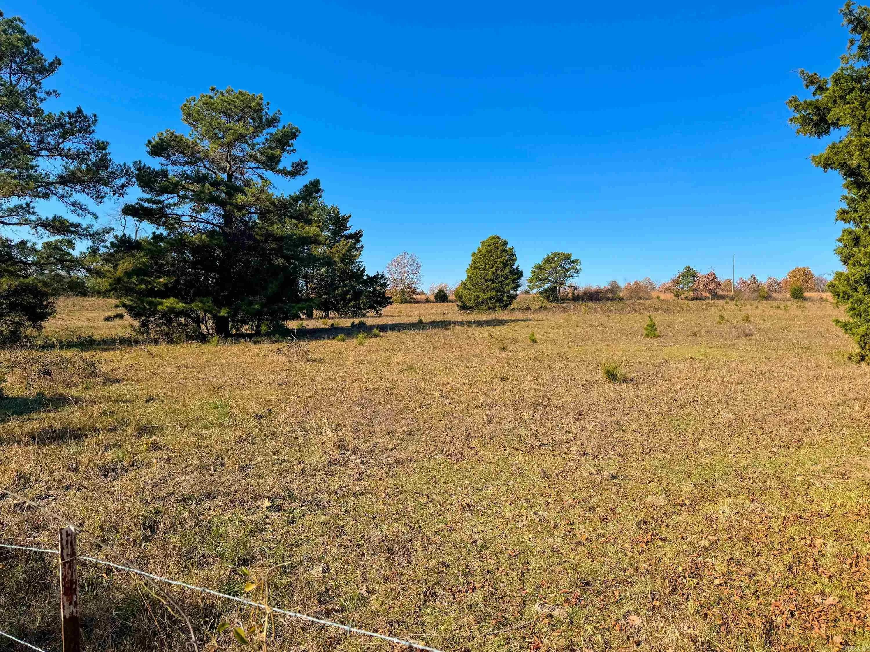 Property at 447  Guy - Image 6
