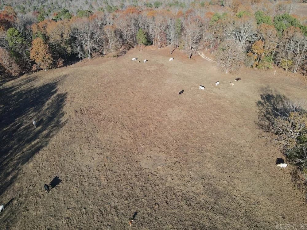Property at 376 E Red barn rd - Image 43